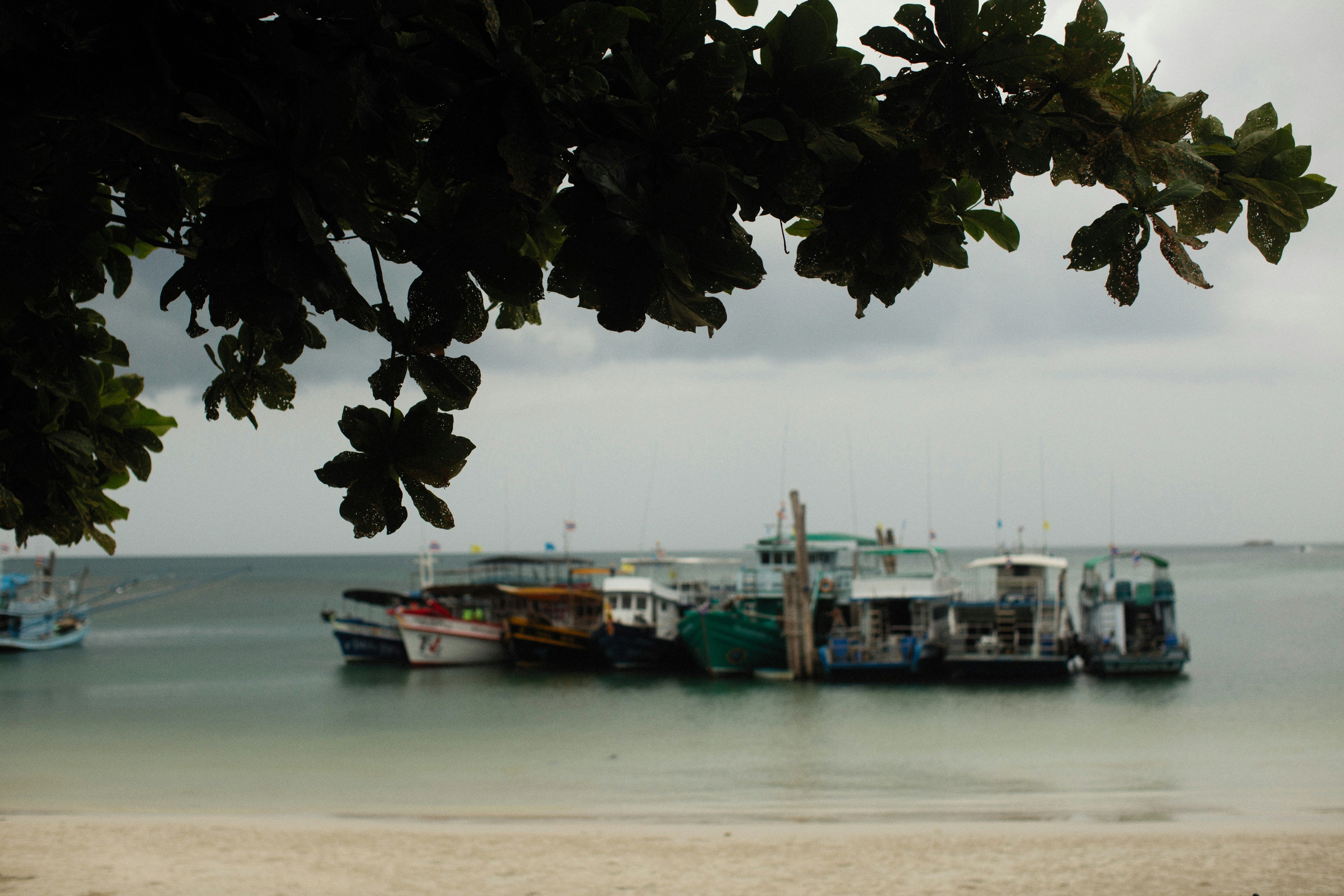 Photo by alexeydemidov