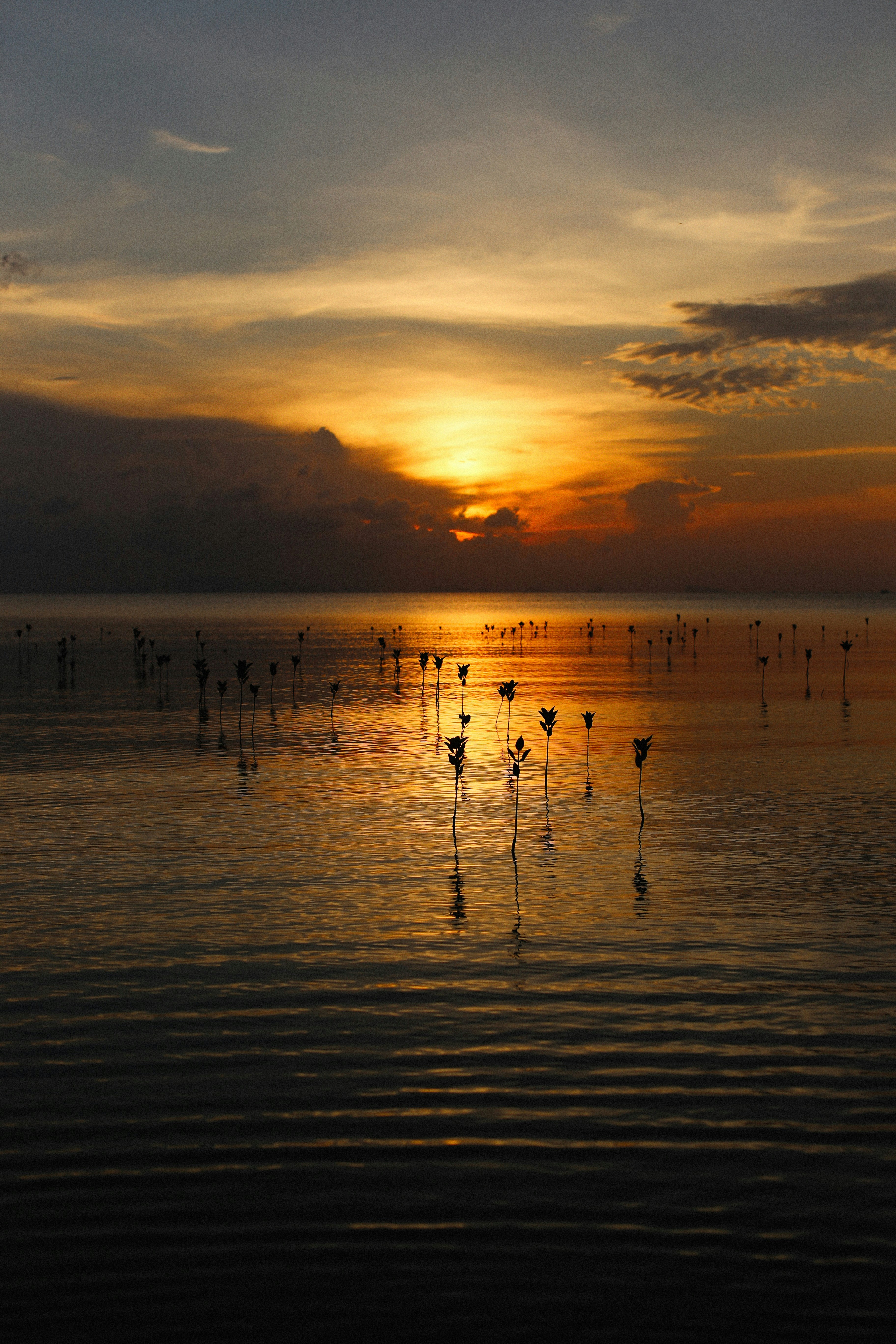 Photo by alexeydemidov