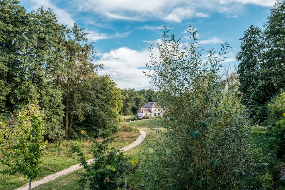 a path through a lush green forest next to a house