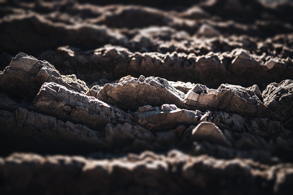 a close up of rocks and dirt in the sun