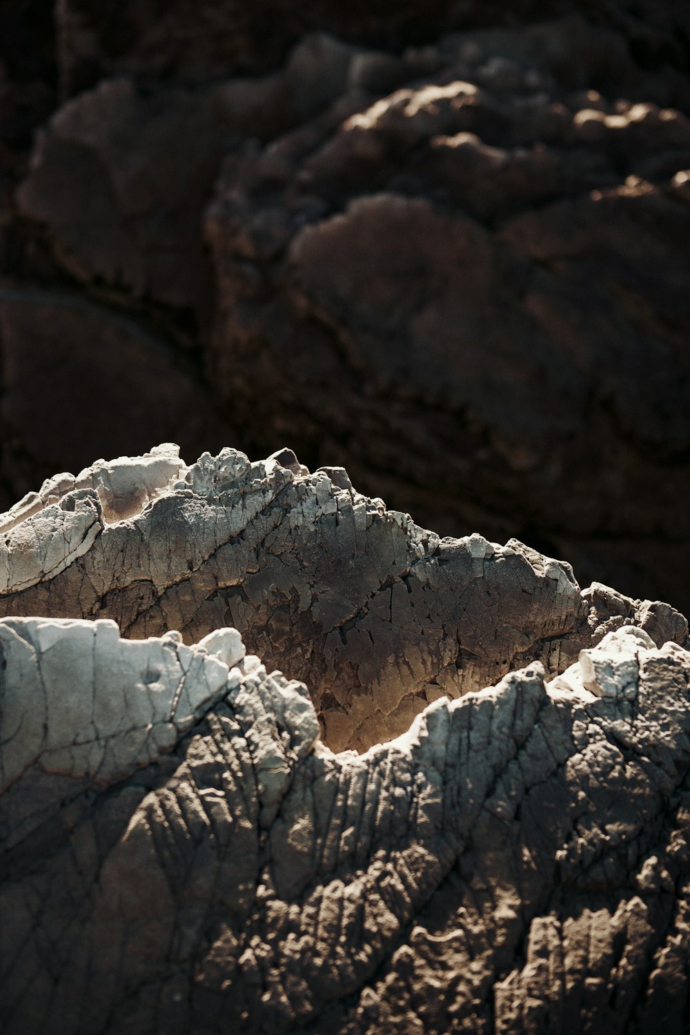 a close up of a rock formation with a bird perched on top of it