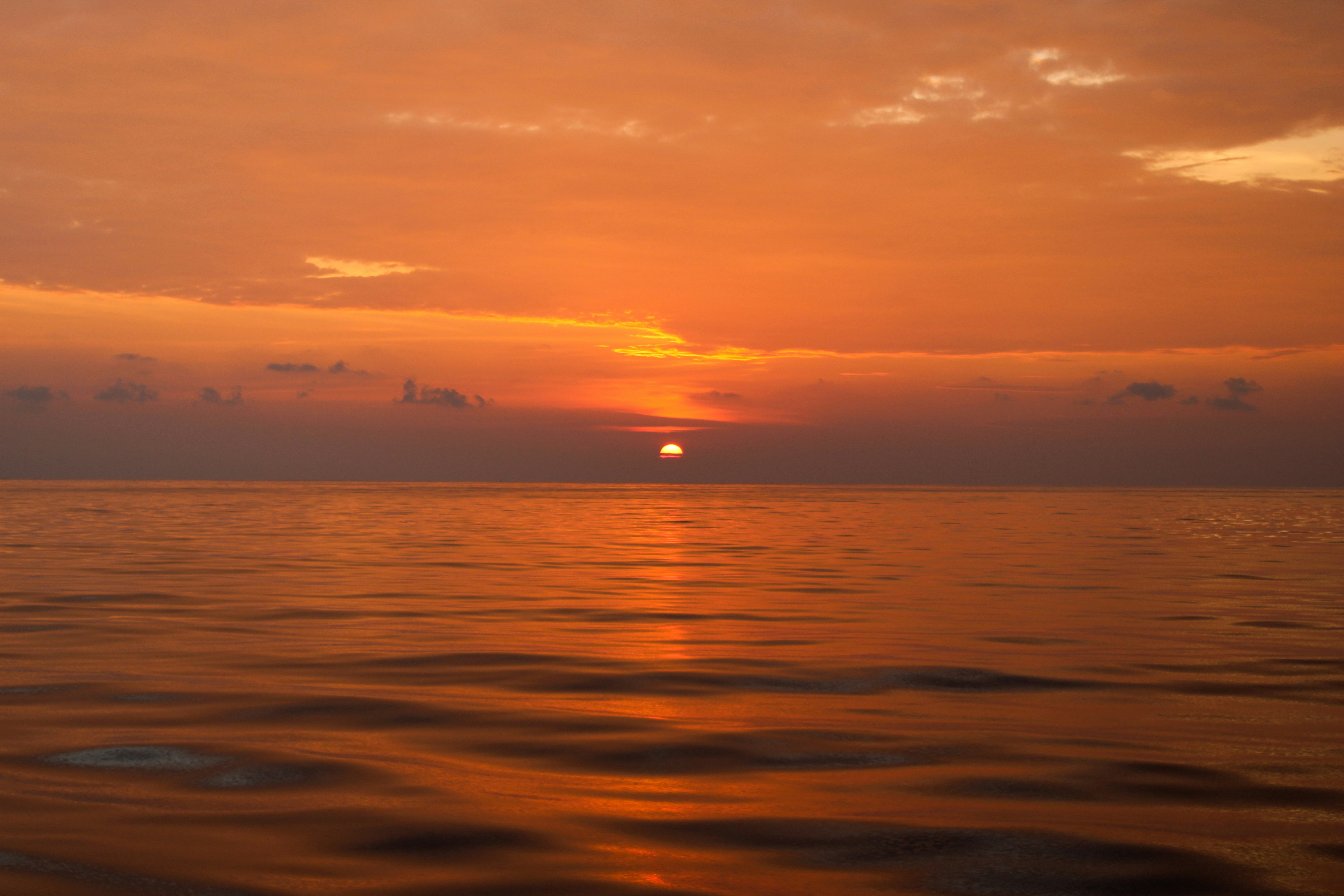 Photo by sifat_niloy