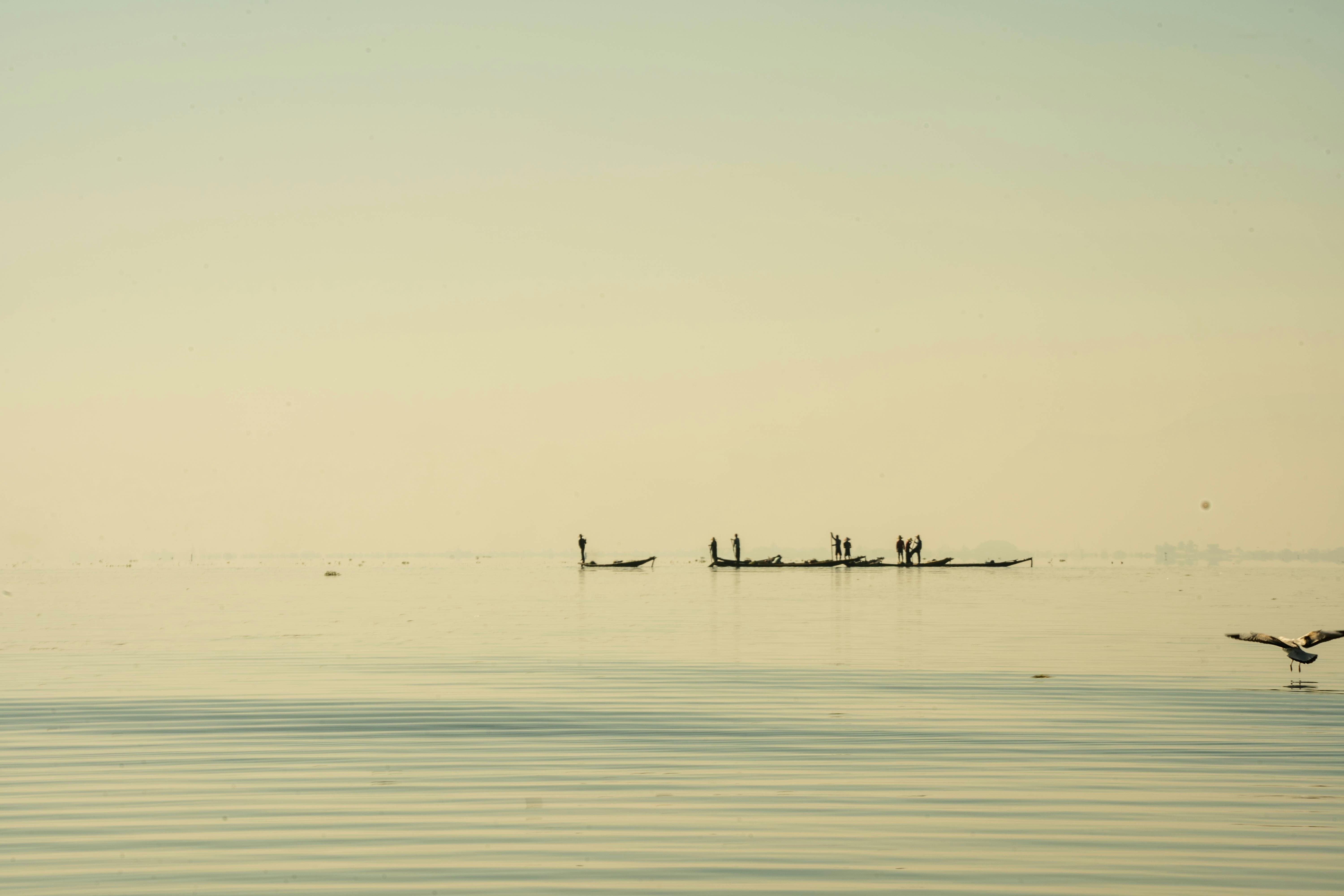 Photo by mrthetkhine