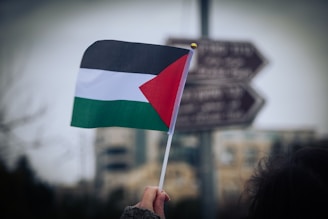 a person holding a flag in front of a street sign