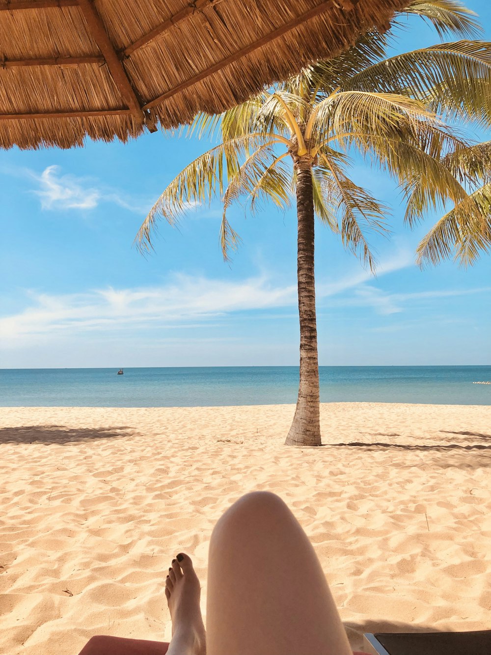a person laying on a beach under a palm tree