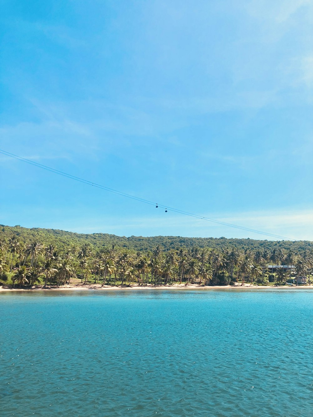 a body of water with trees in the background