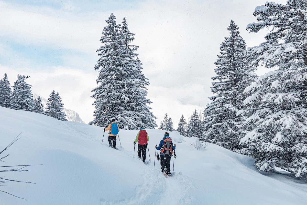 Group of skiers going down a snowy slope