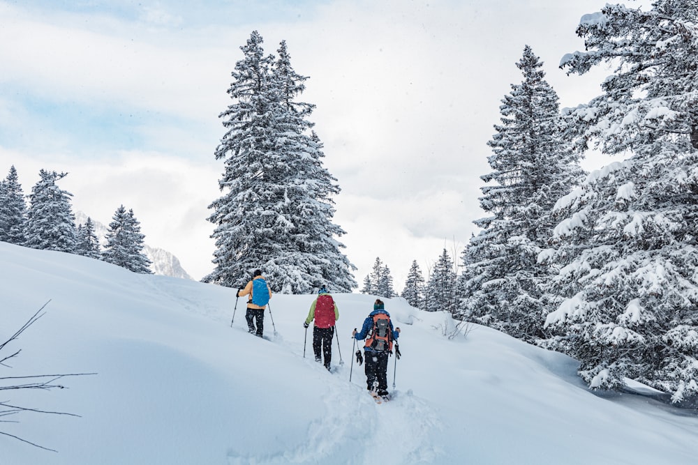 a group of people riding skis down a snow covered slope