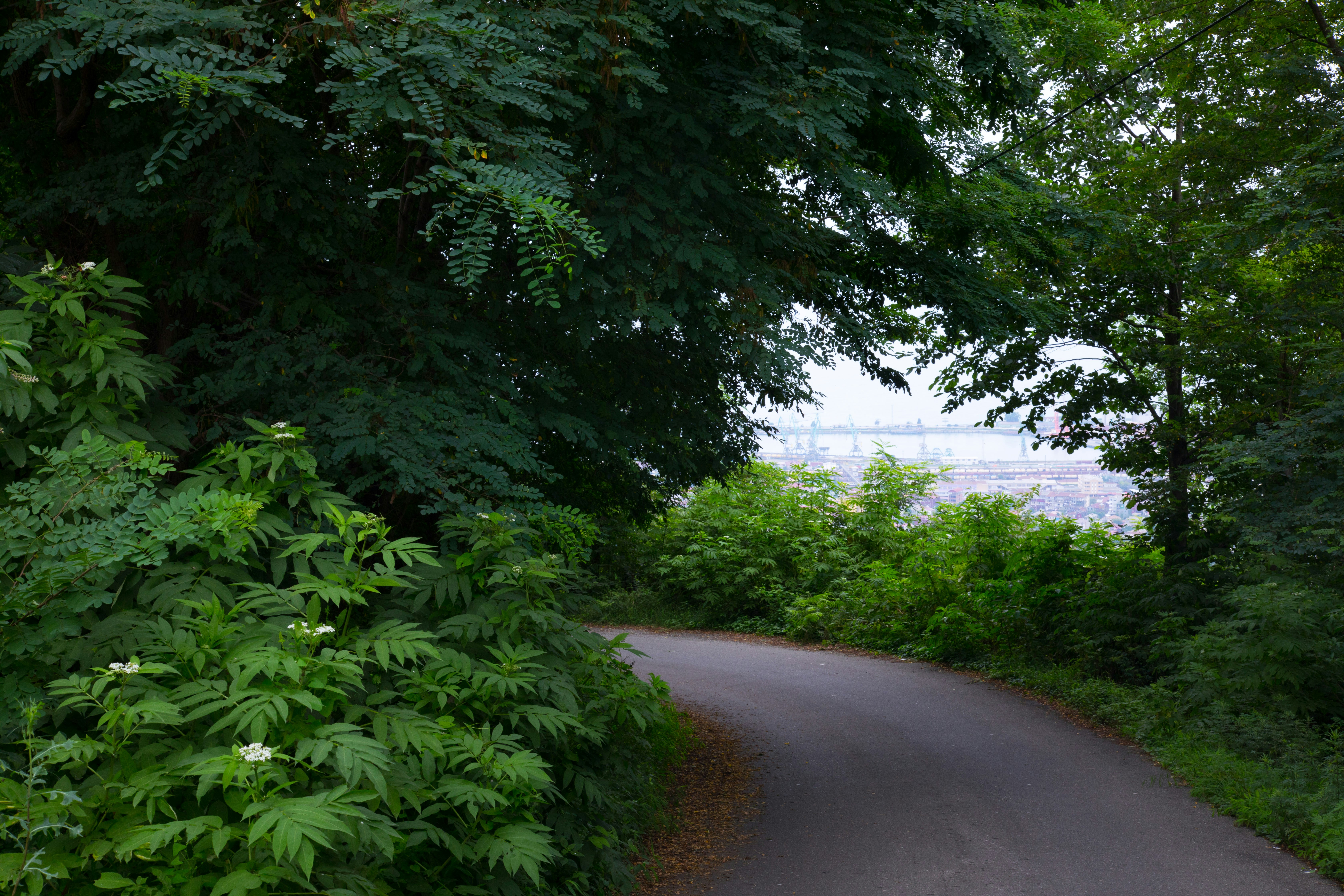 Photo by collab_media