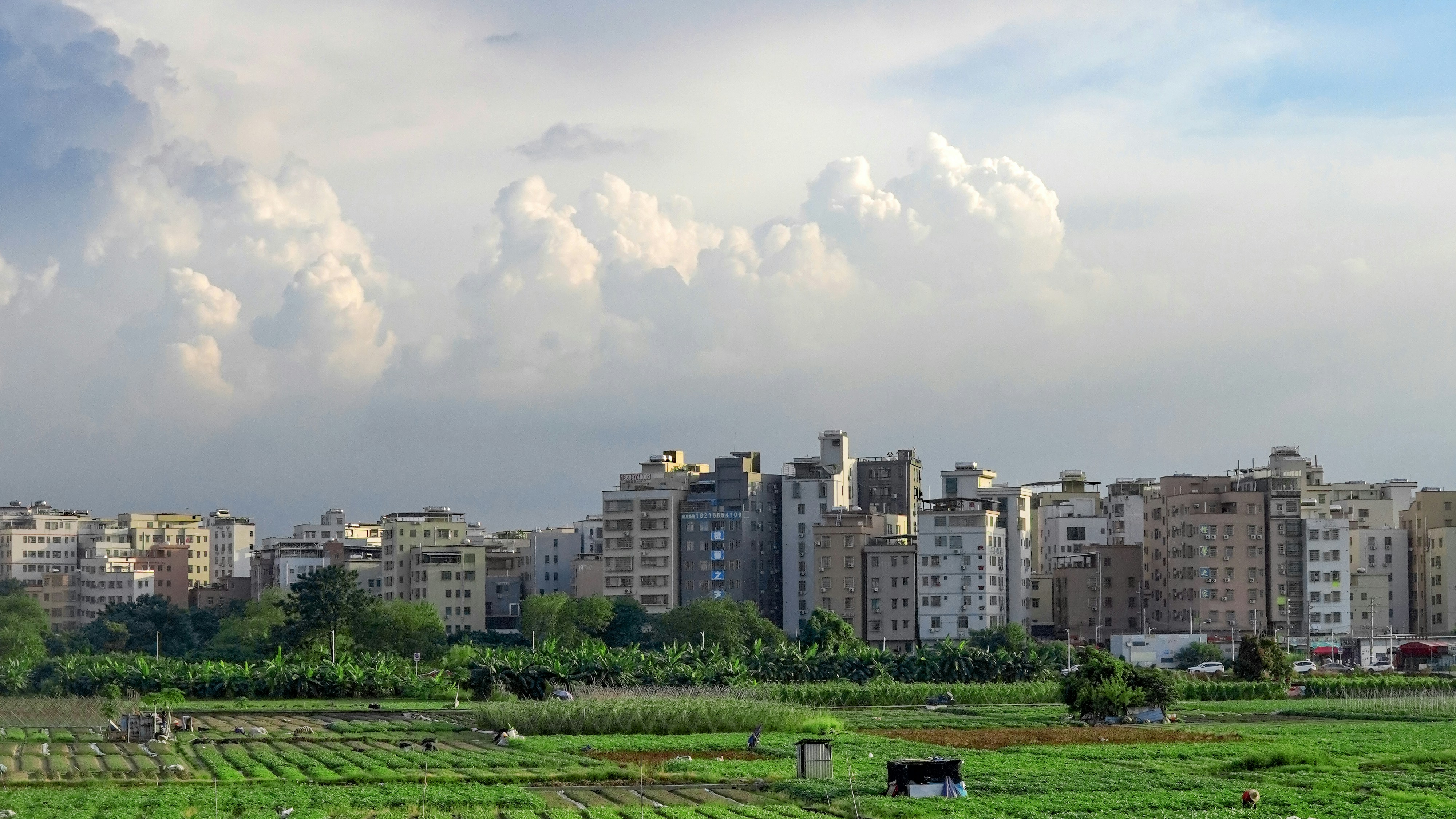 a large city with lots of tall buildings