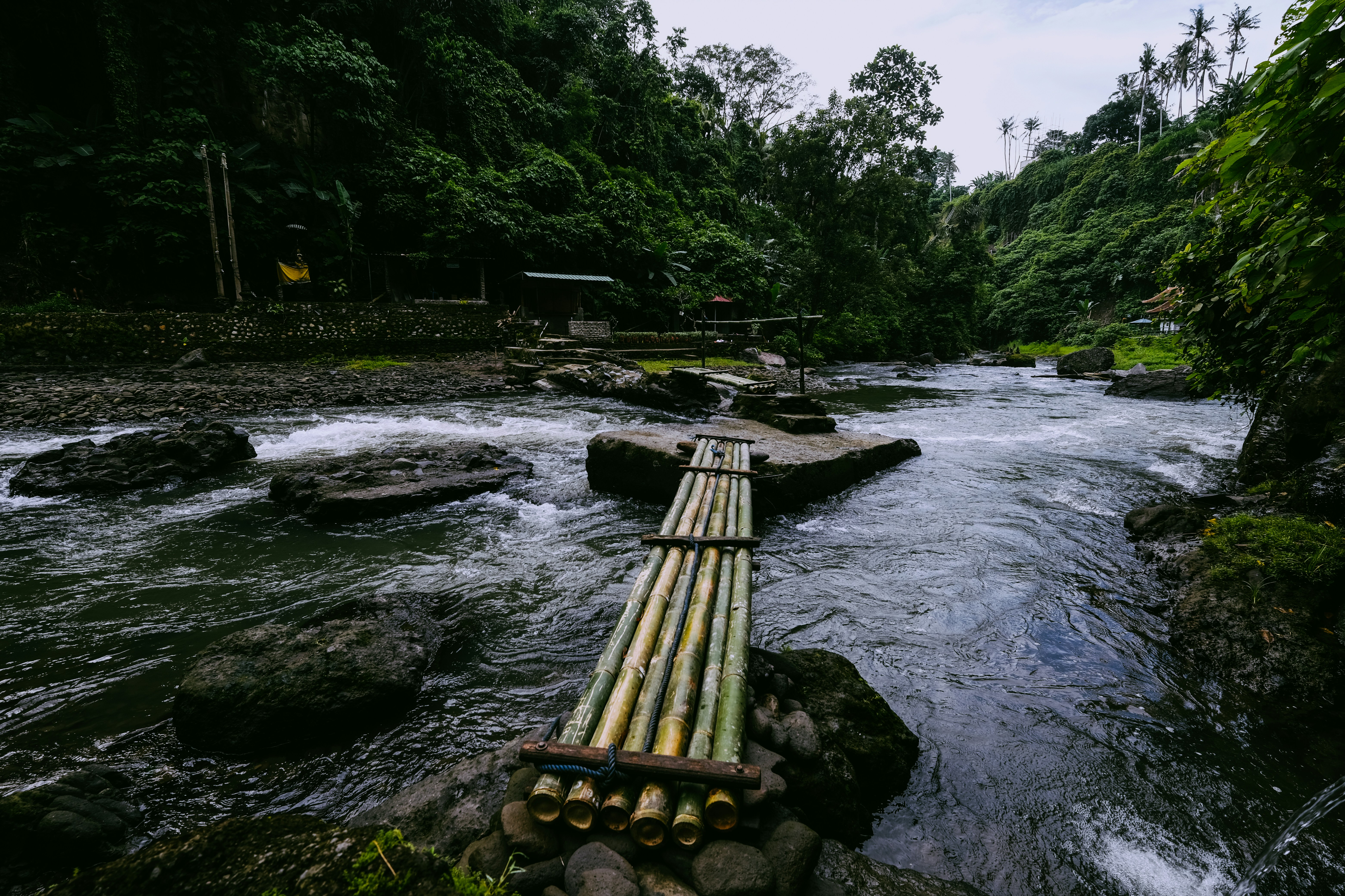 Bamboo Bridge