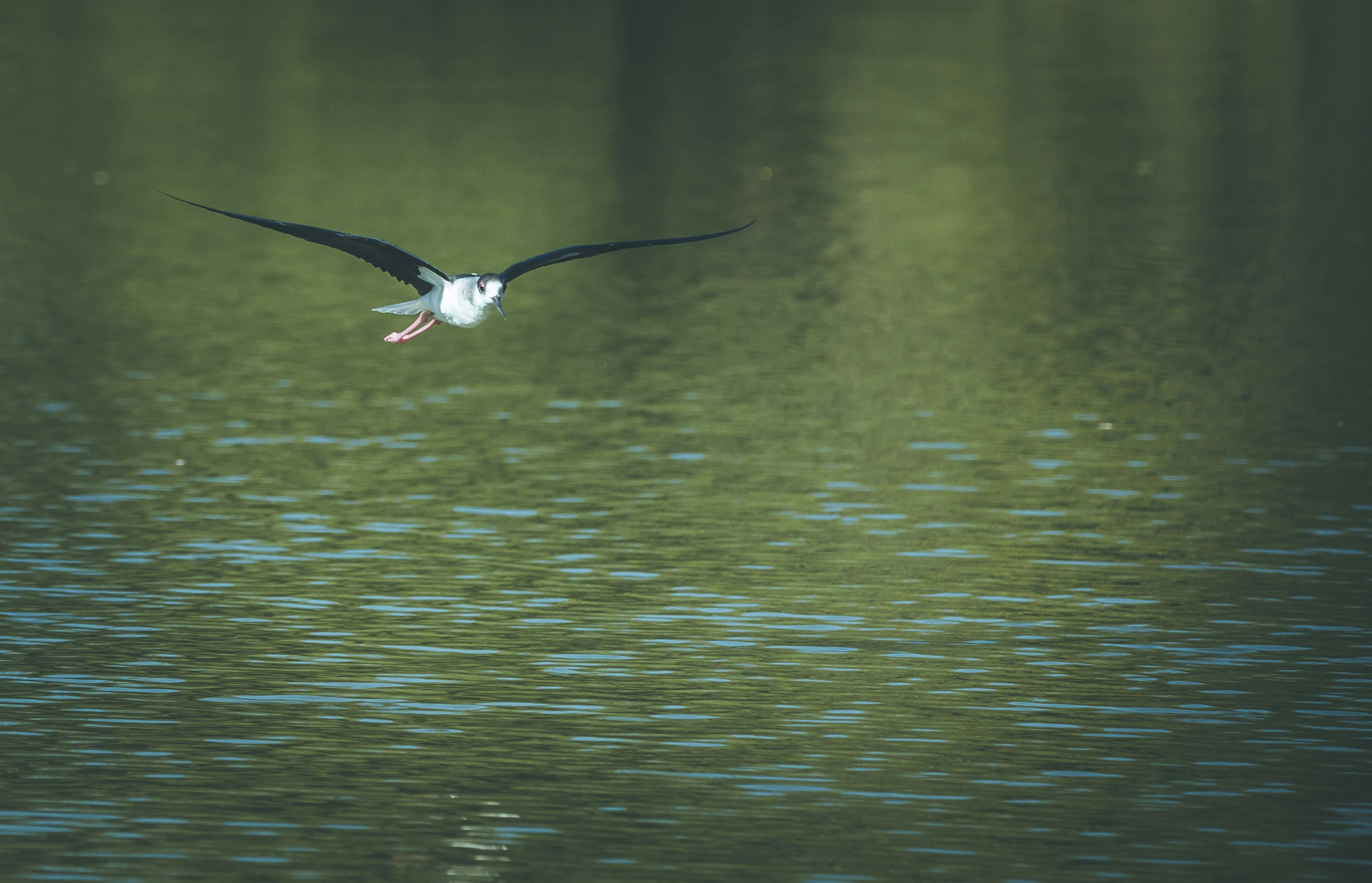 Photo by wildandbeyondbyvivek