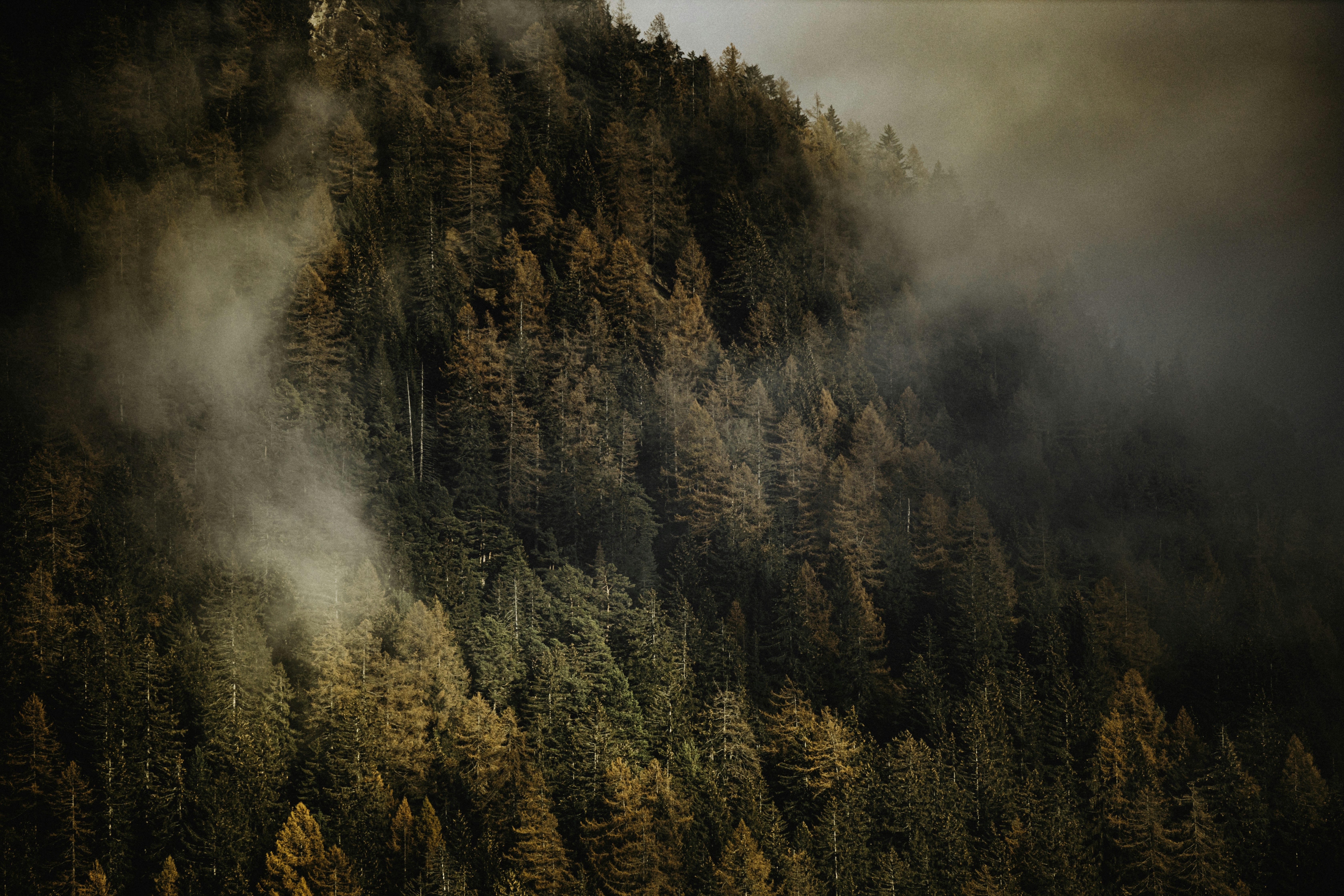 Photo by mattiaalbertin