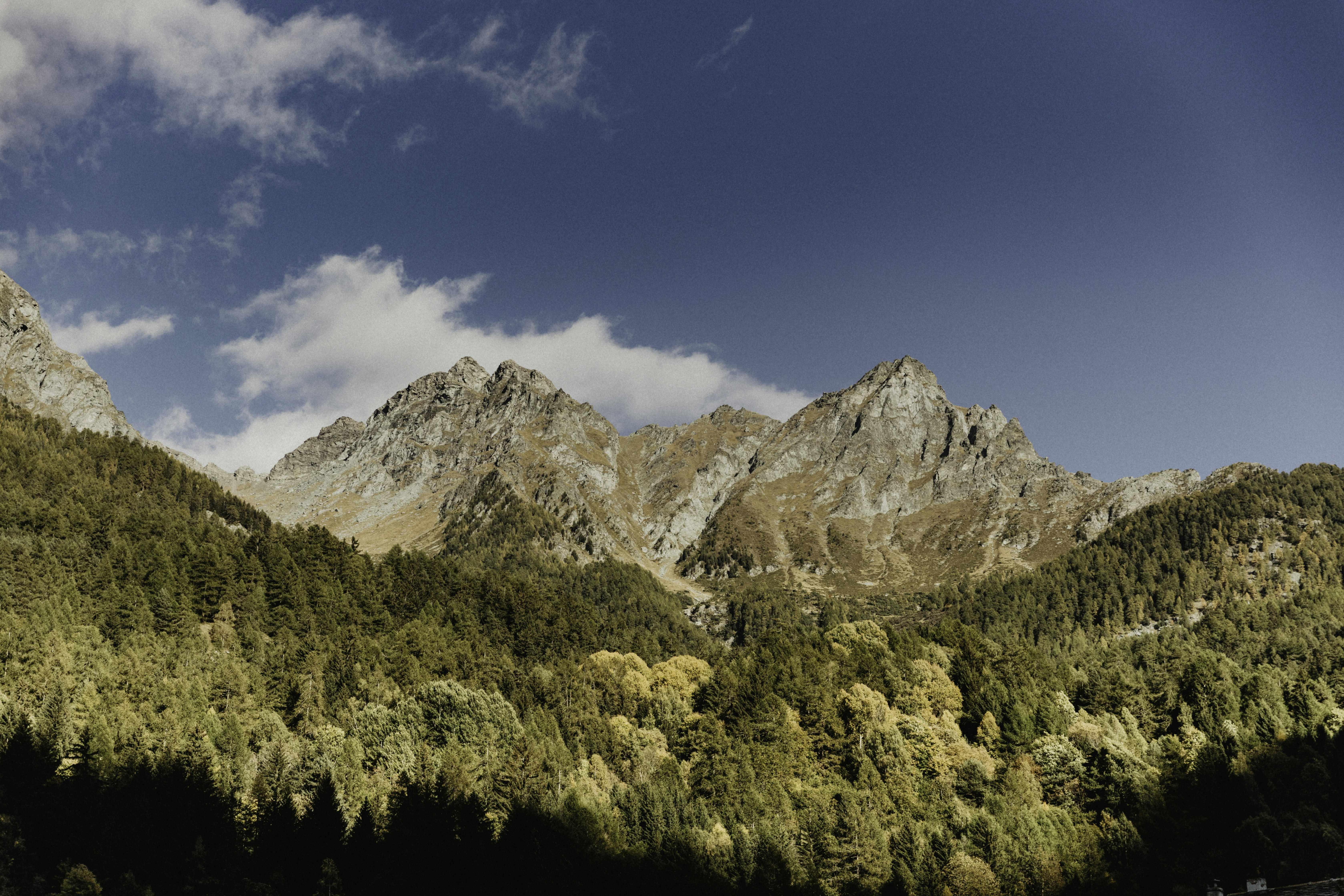 Photo by mattiaalbertin