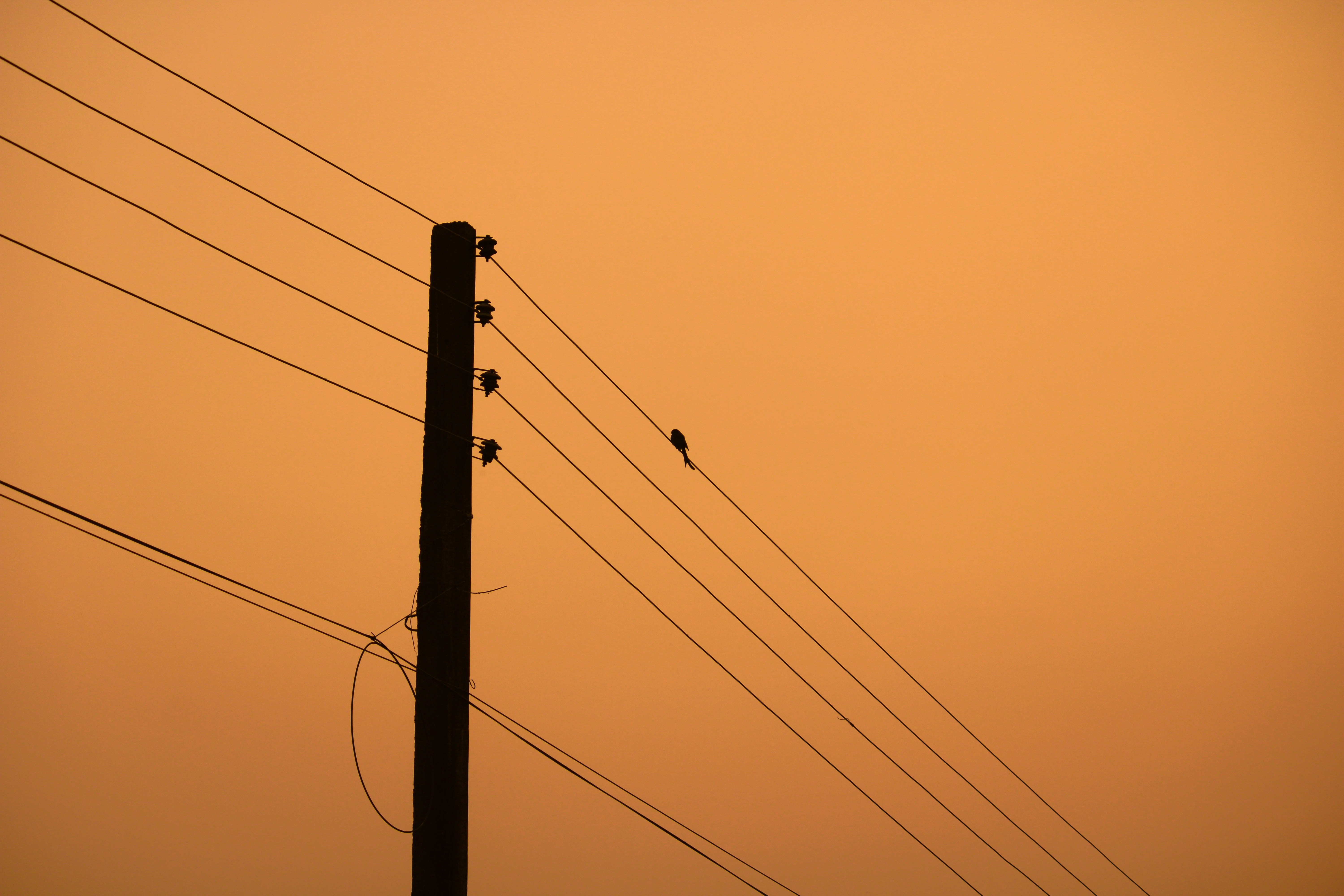 Bharatpur, Nepal - Silhouette power electric pole in evening time