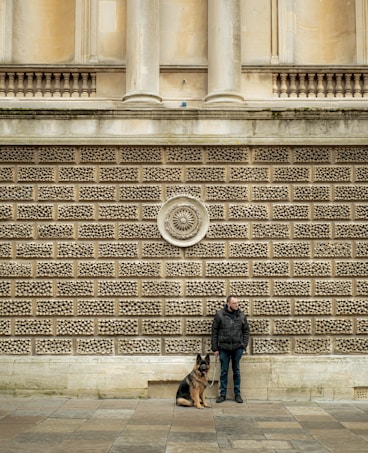 A man in a black jacket stands next to a large German Shepherd dog against an ornate brick wall with intricate patterns. The wall features large stone pillars and a symmetrical decorative element. The pavement is composed of irregular stone tiles, and the man appears to be looking into the distance.