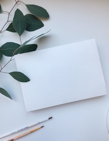 A blank sheet of paper is laid upon a light-colored surface, accompanied by two artist brushes positioned at the bottom corner. Several eucalyptus leaves extend from the left side, creating a natural element next to the paper.