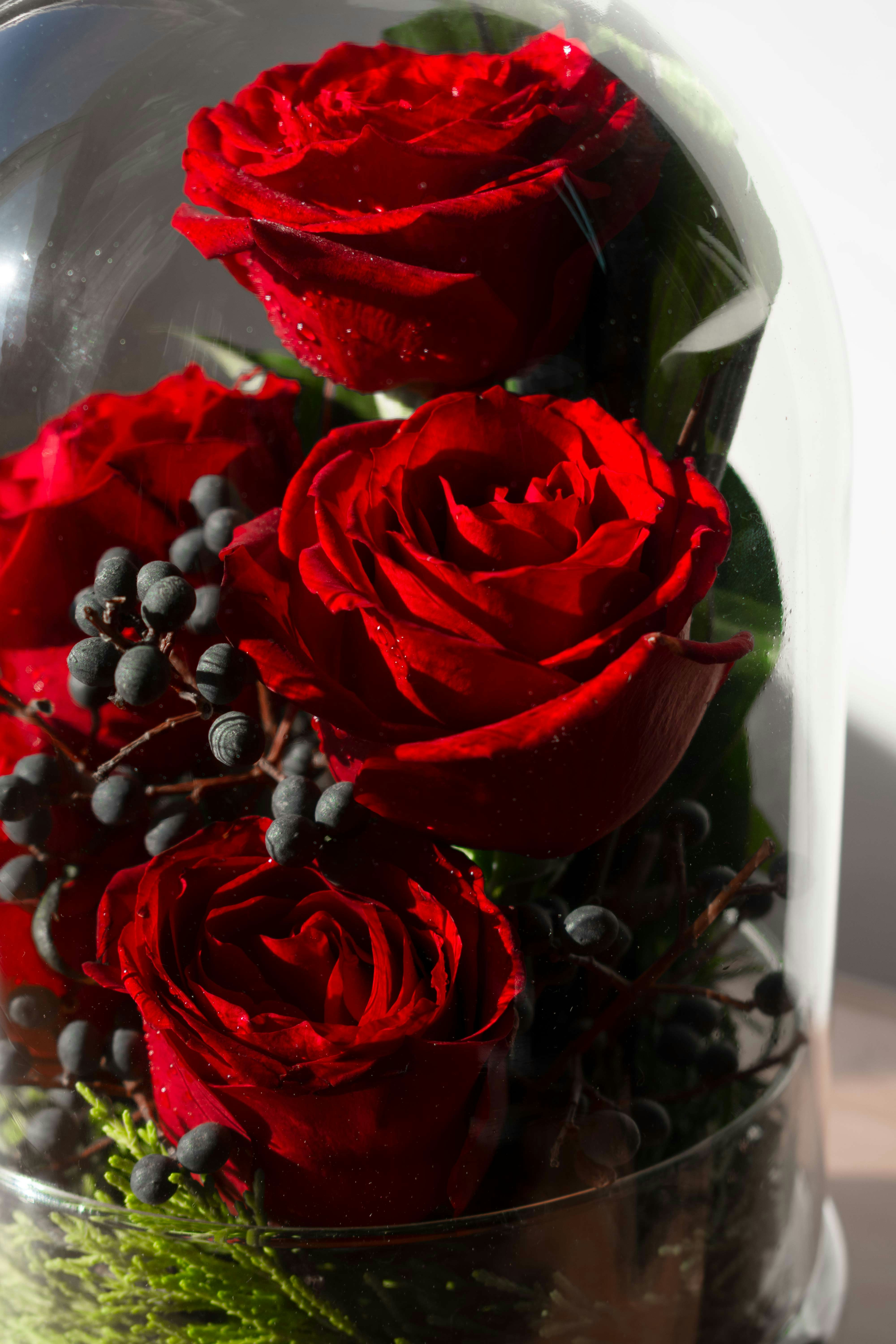 Beautiful preserved floral arrangement featuring flowers that don't die.
