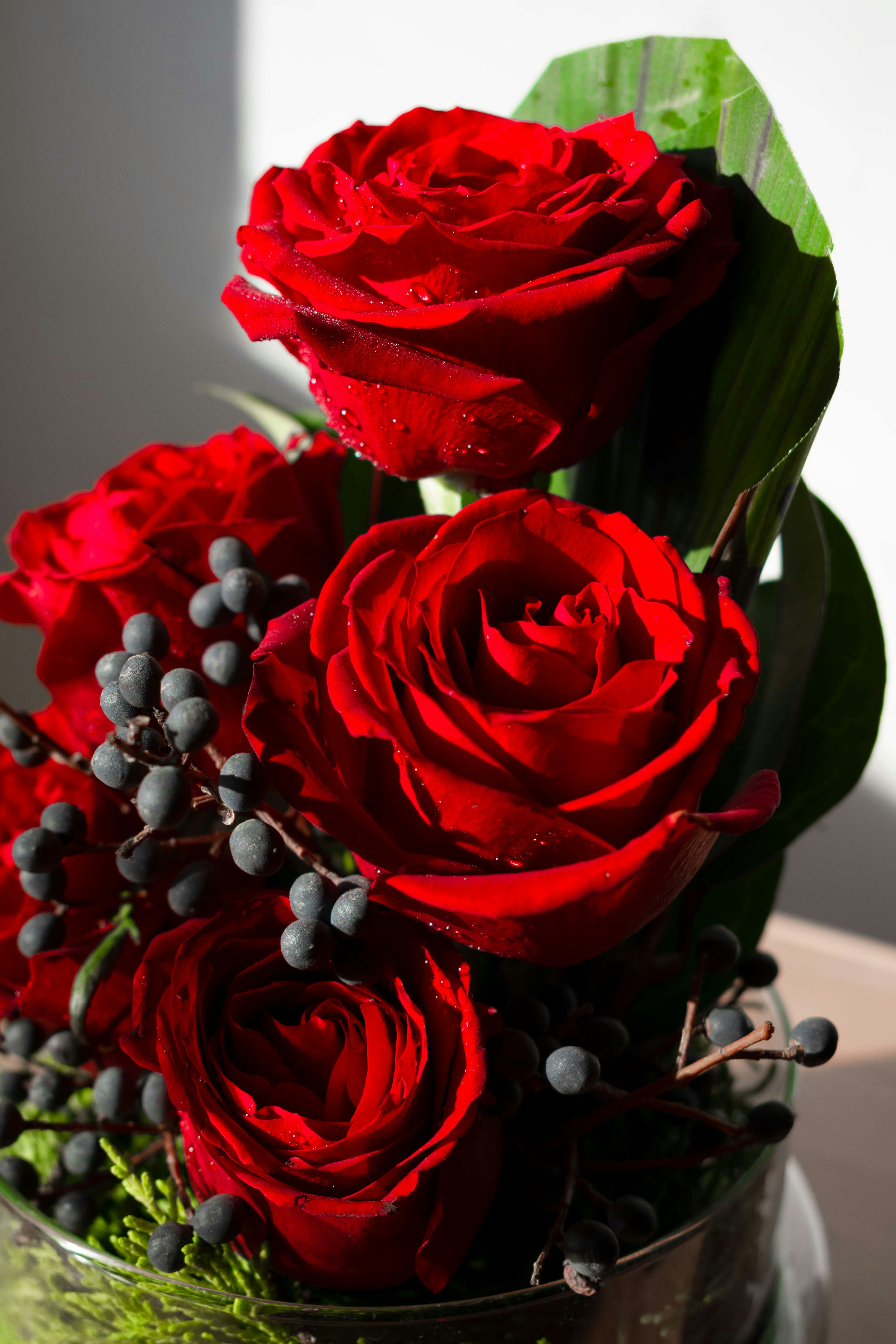 Photo by amirvisuals