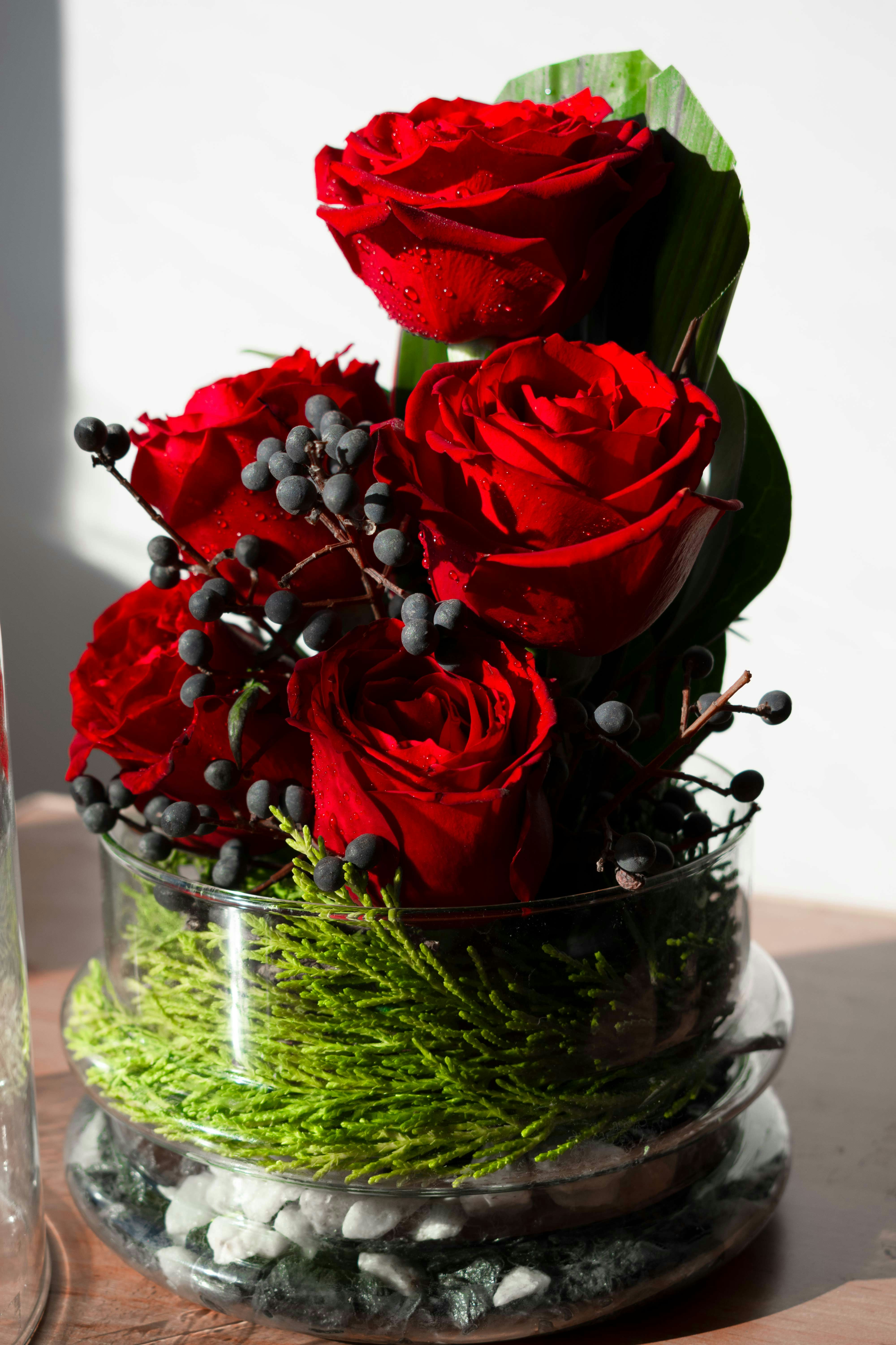 Photo by amirvisuals