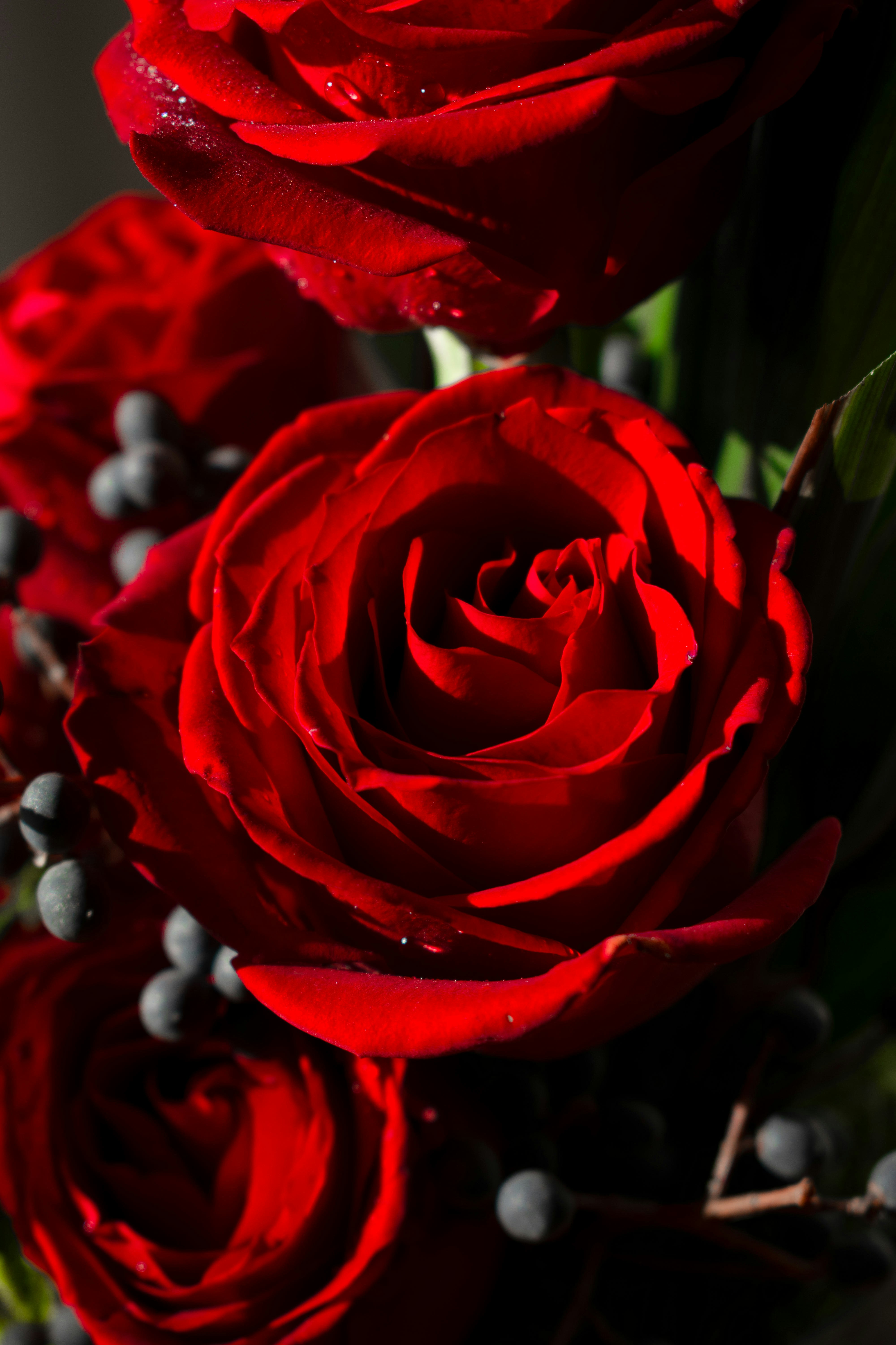 Photo by amirvisuals