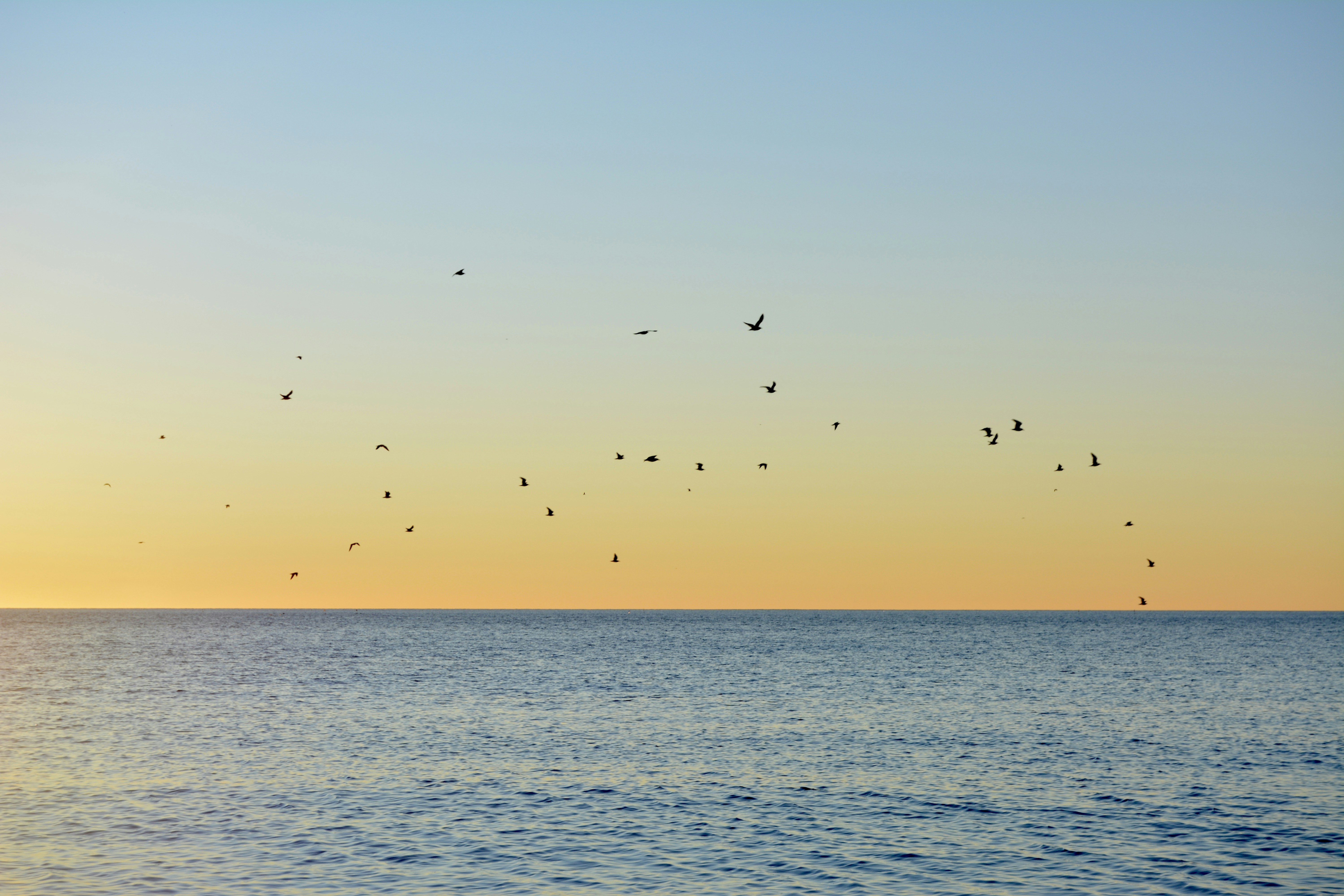 Photo by solmedoariza