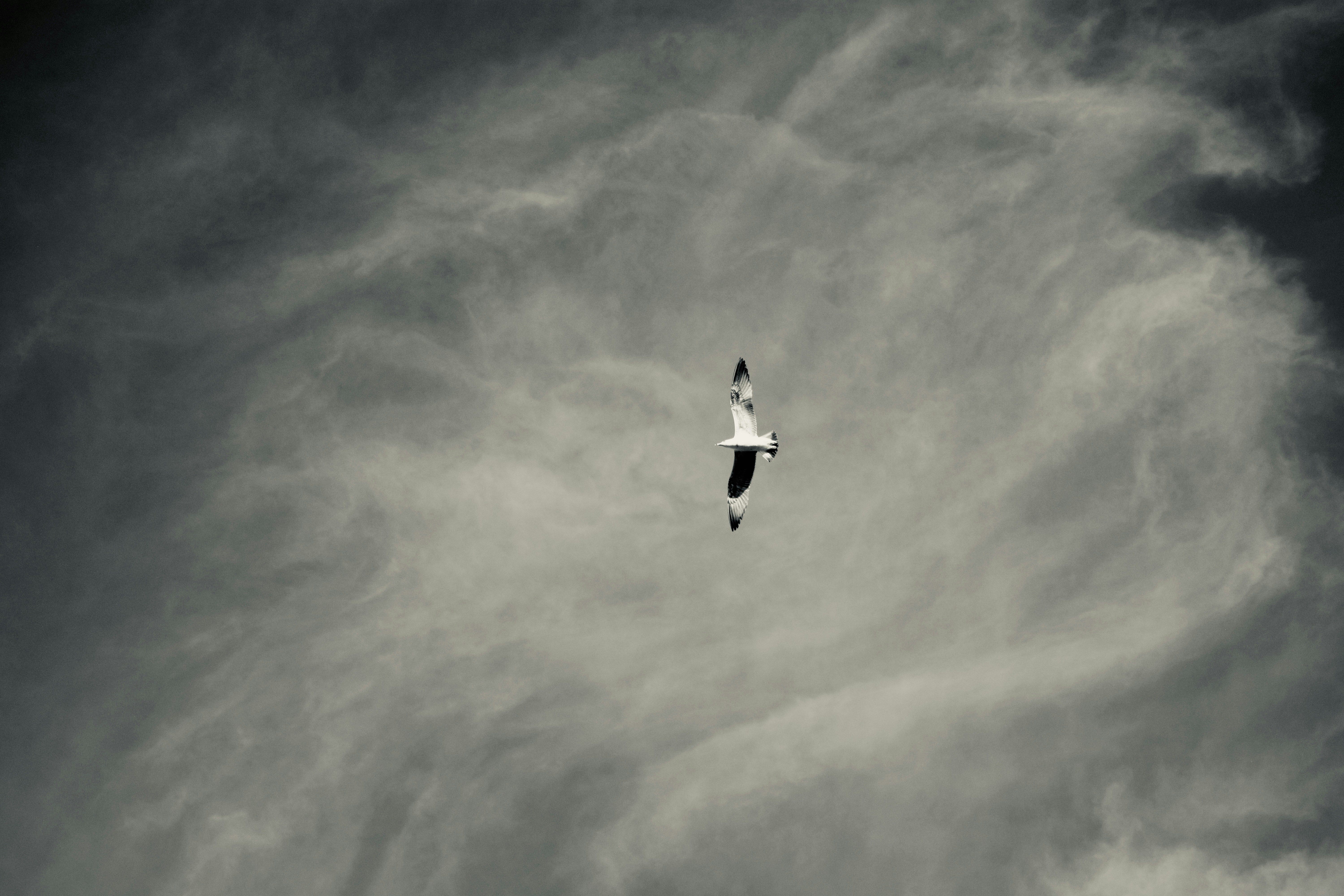 Photo by solmedoariza