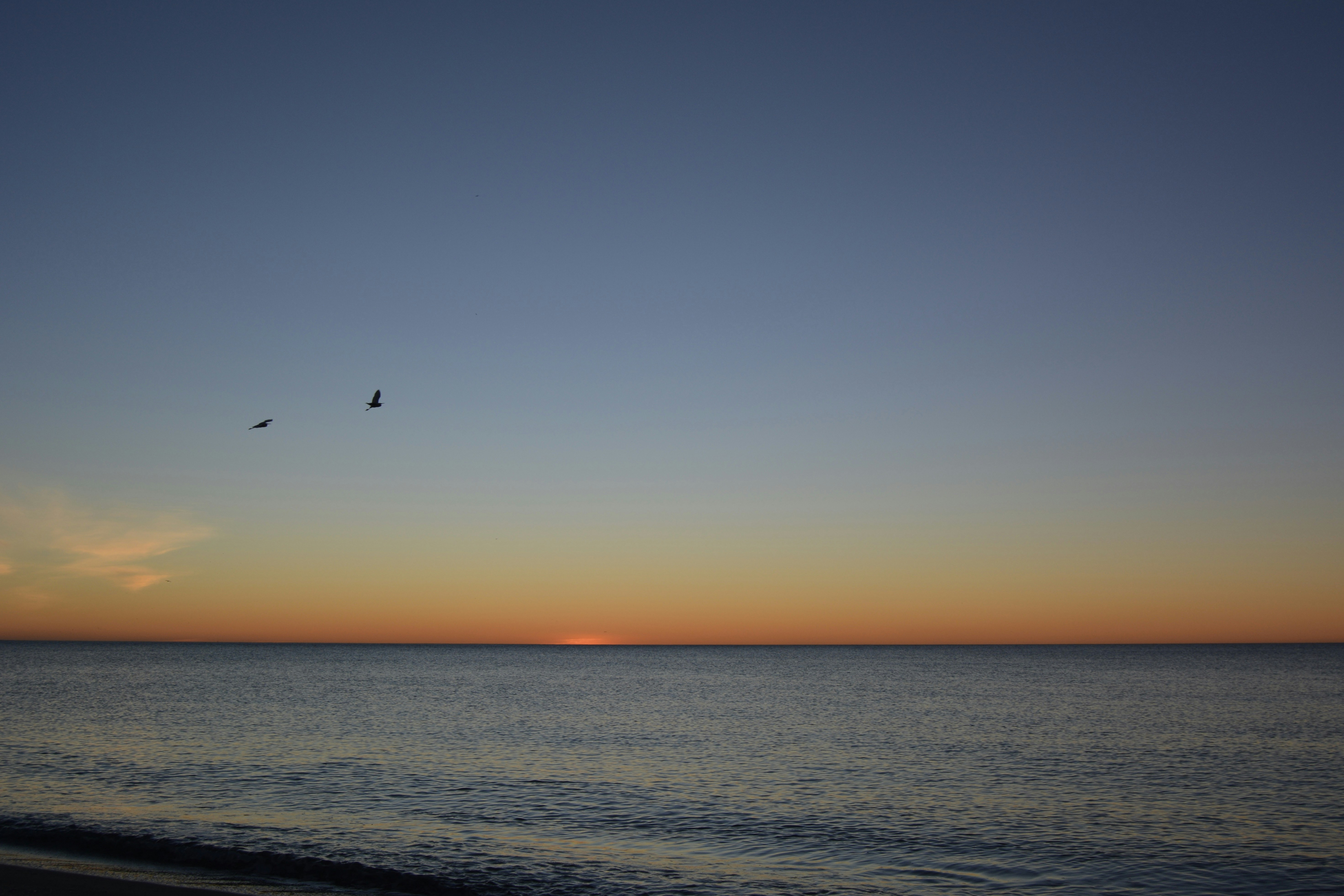 Photo by solmedoariza