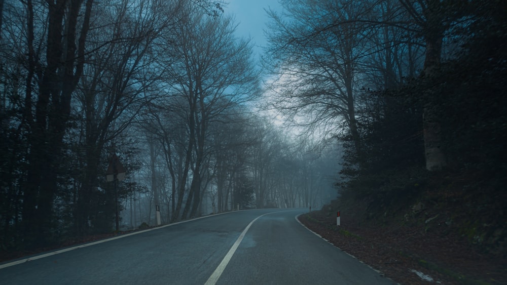 Ein Weg mit Bäumen am Straßenrand