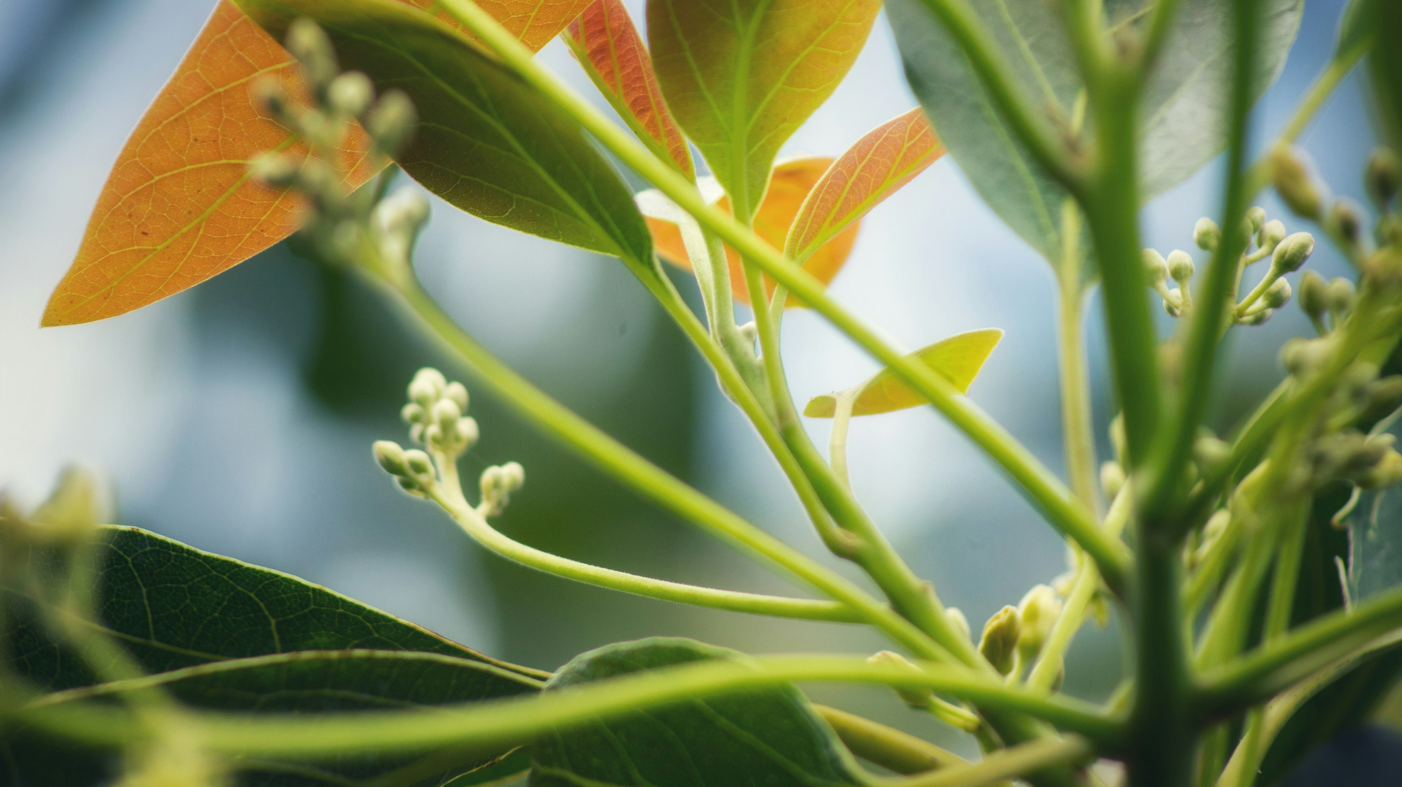 Photo by someghost95