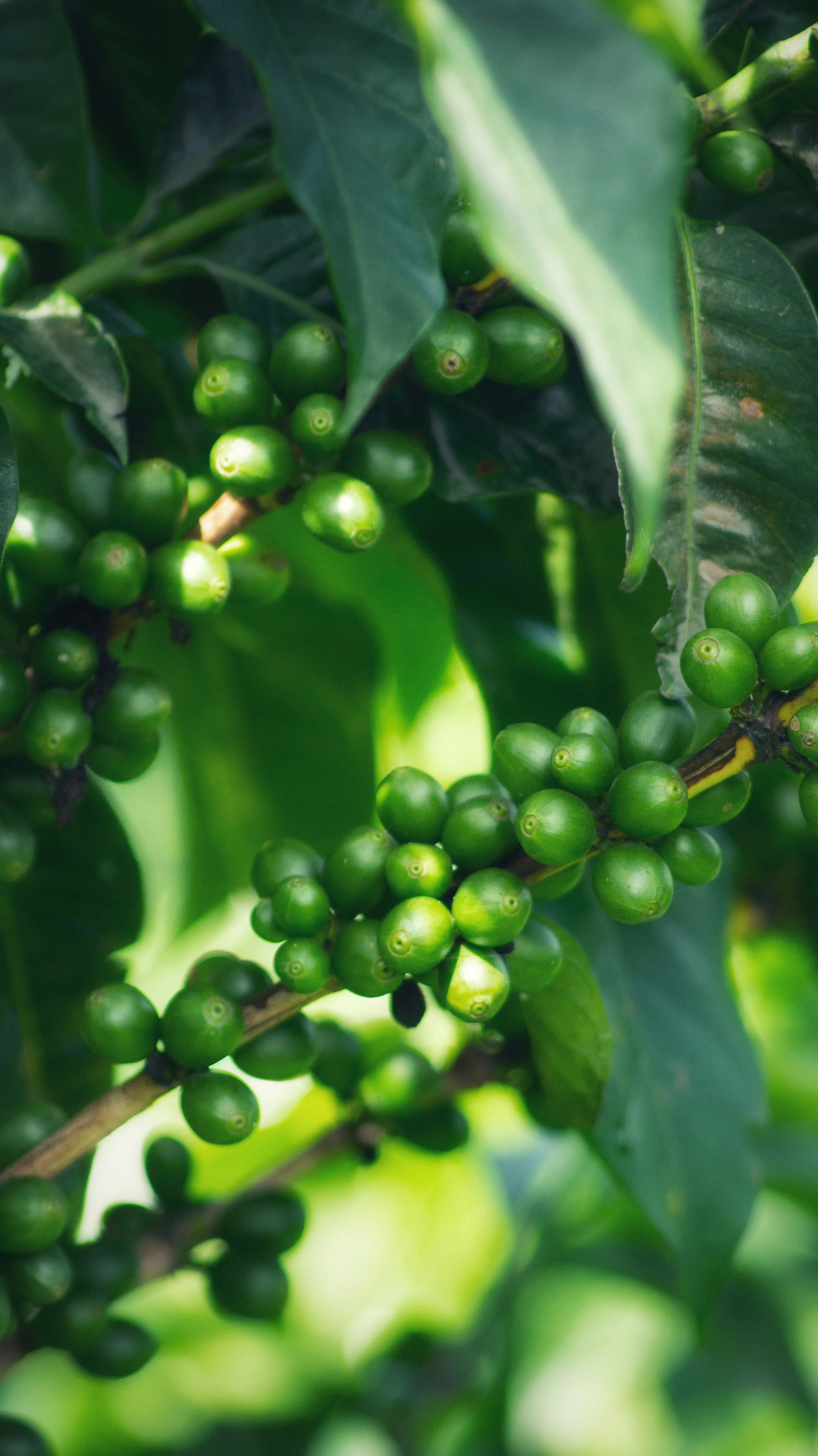 Photo by someghost95