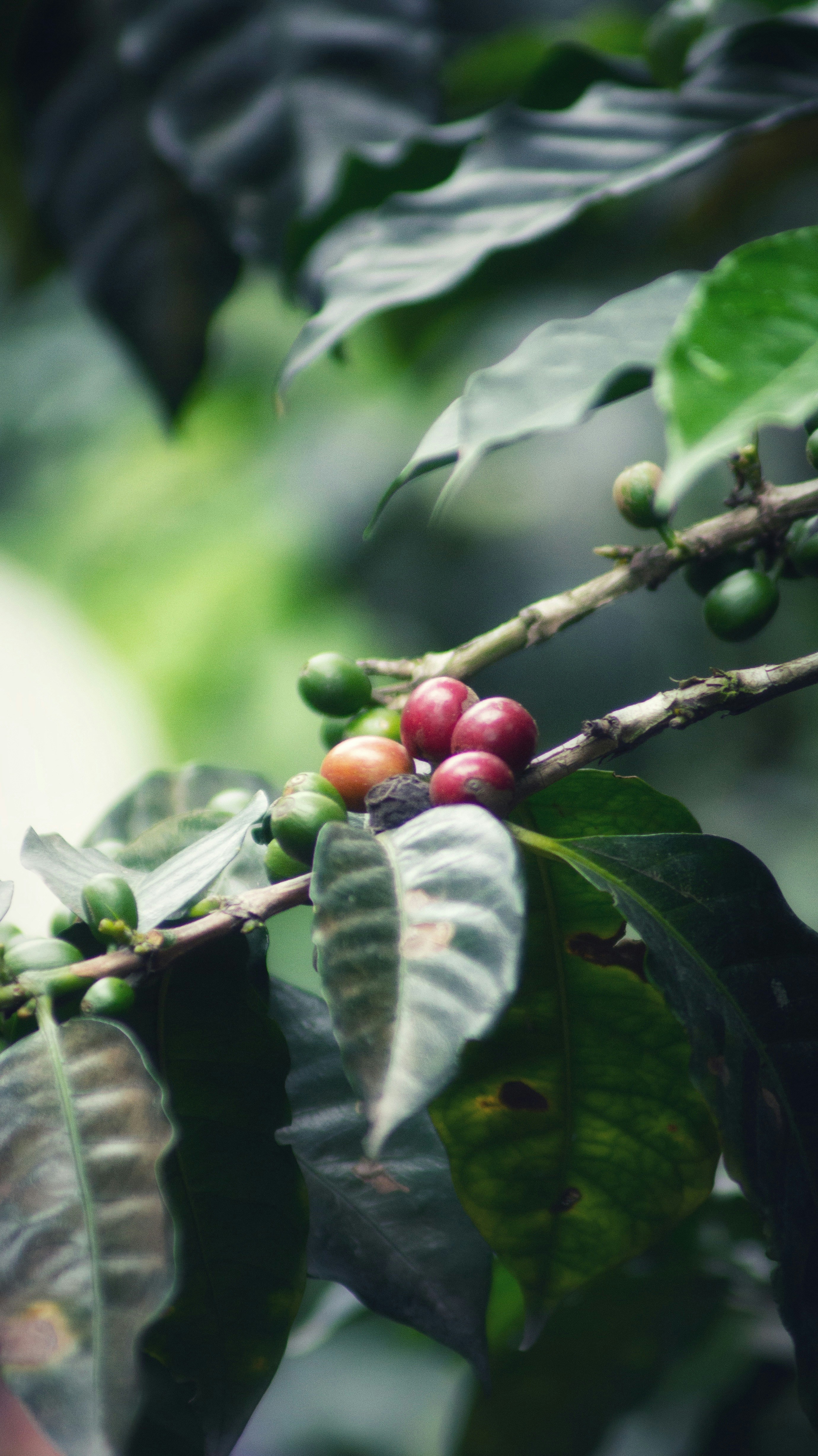 Photo by someghost95