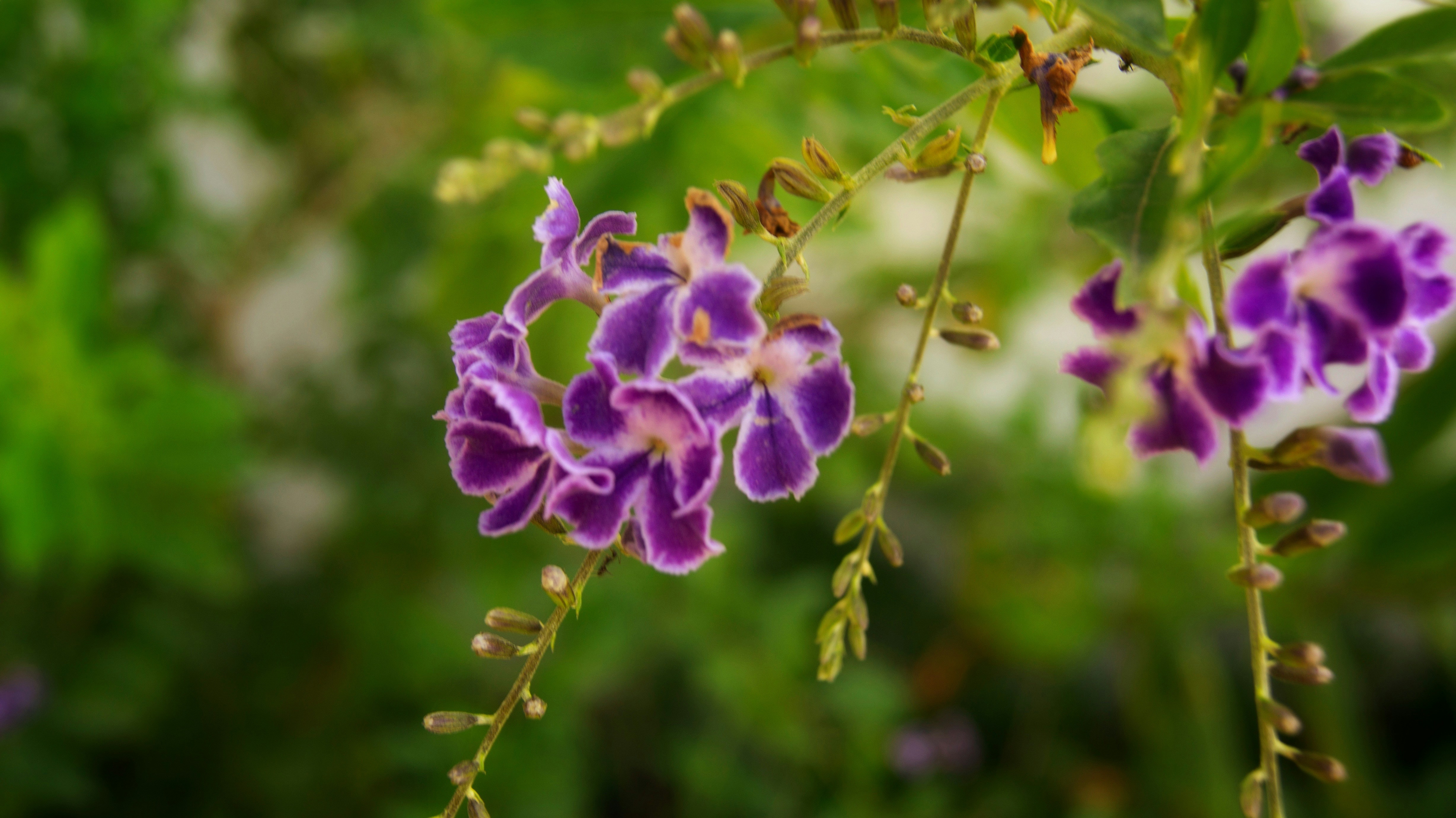 Photo by someghost95