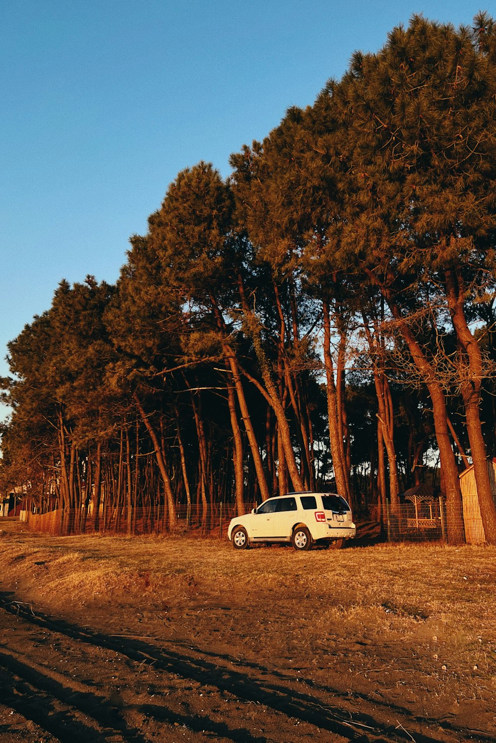 a white van parked in front of a row of trees