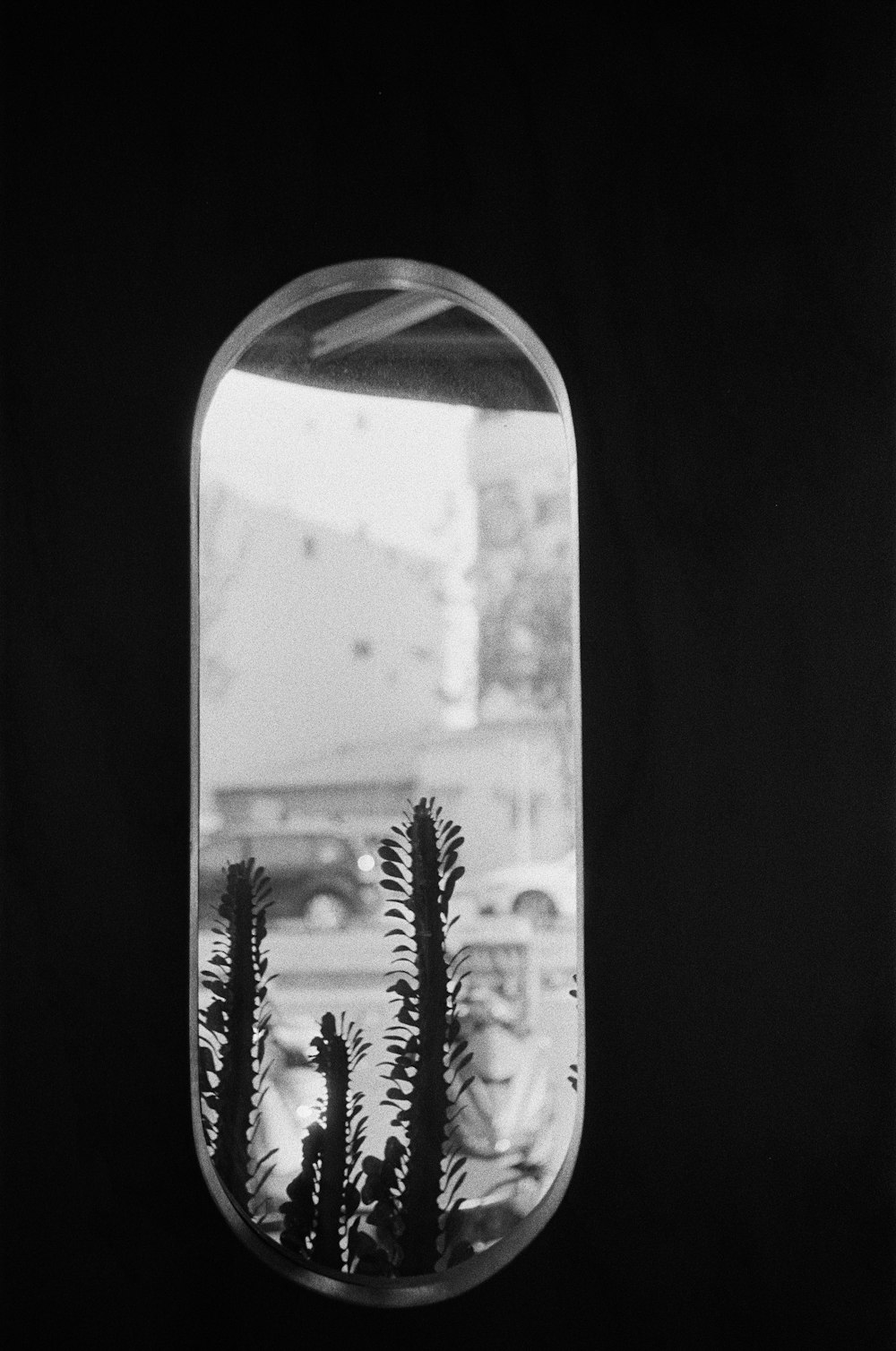 a black and white photo of a window with a plant in it