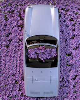 A classic vintage car surrounded by blooming flowers at a photo shoot.