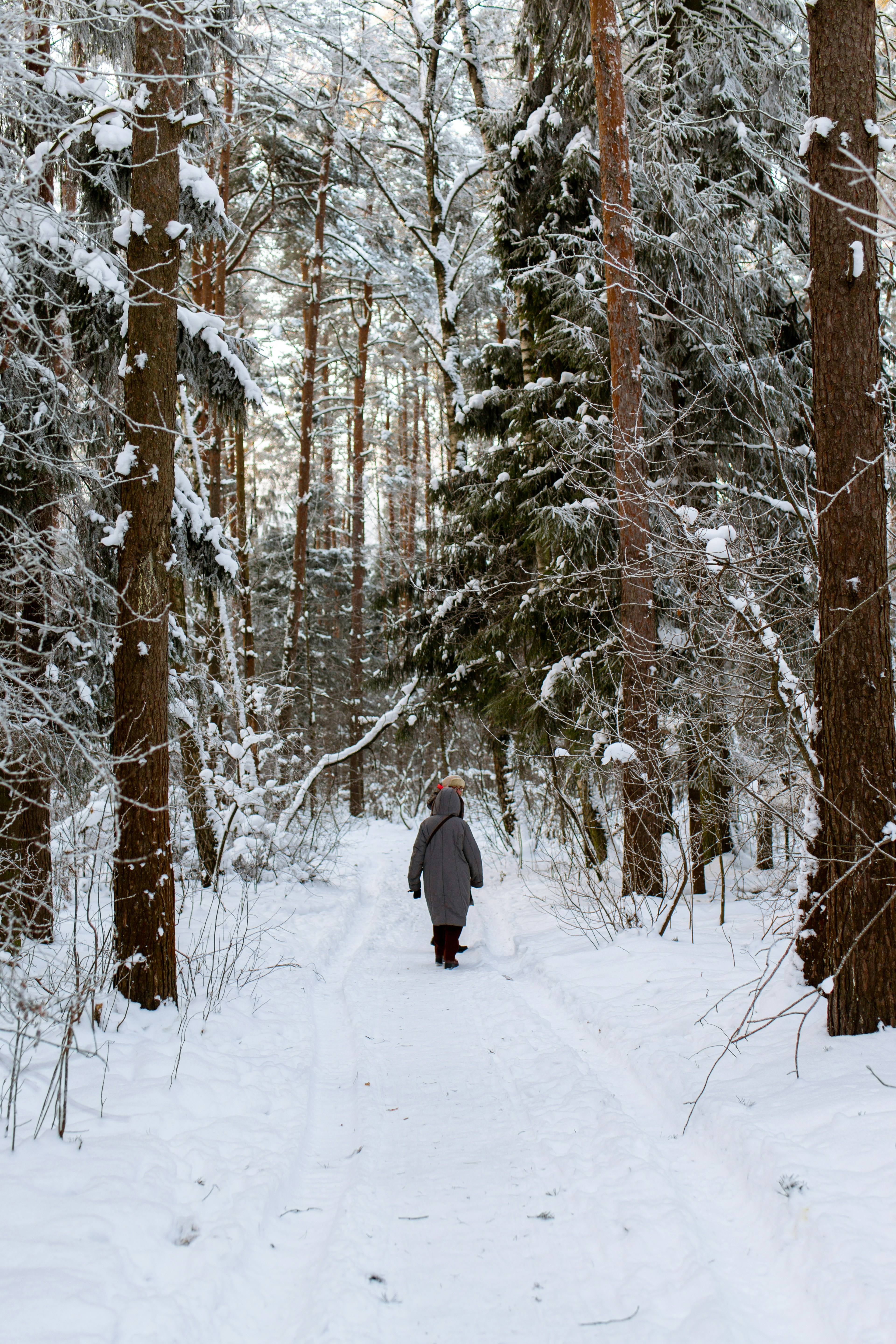 a person walking through a snow covered forest