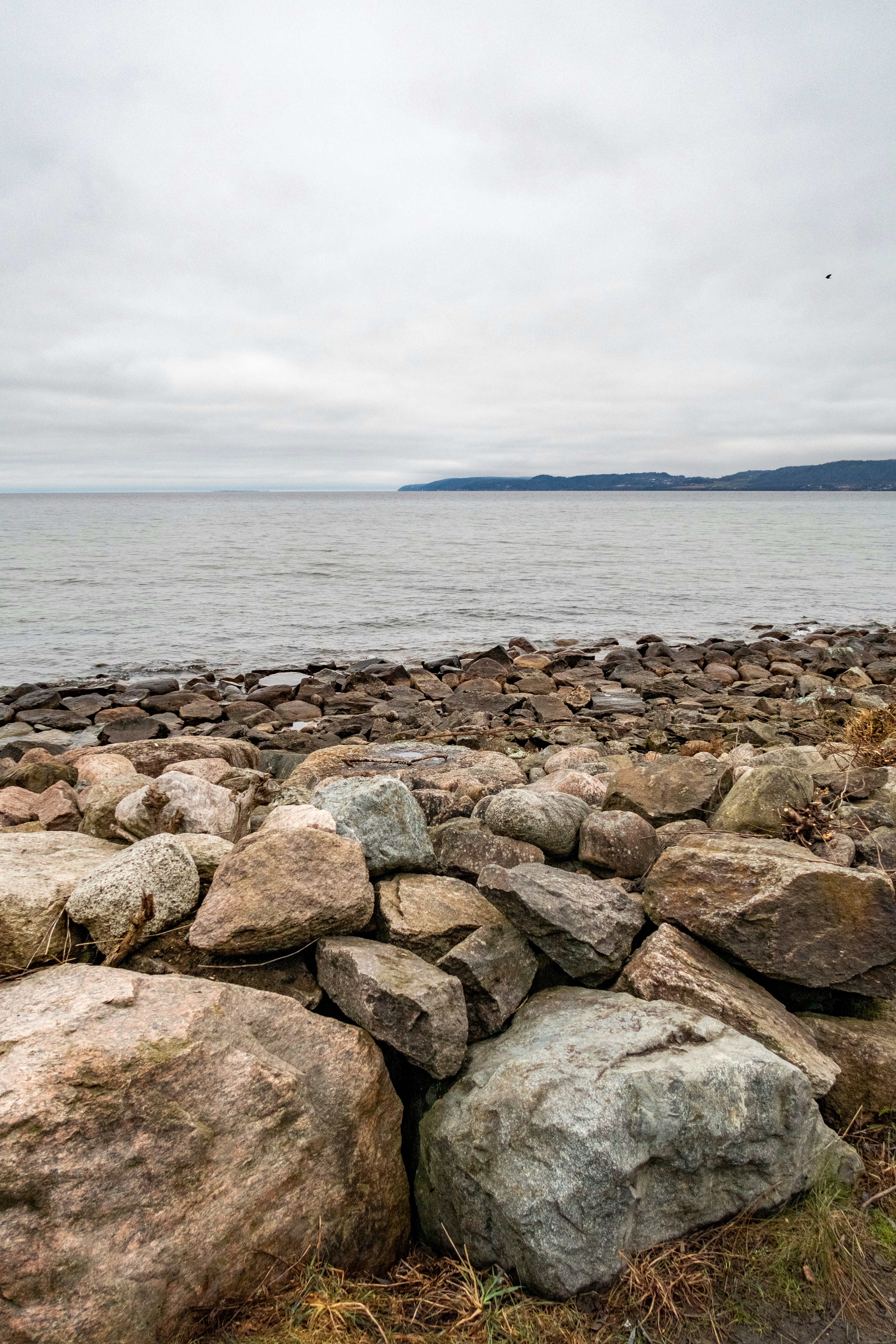 Photo by melvinmadephotos