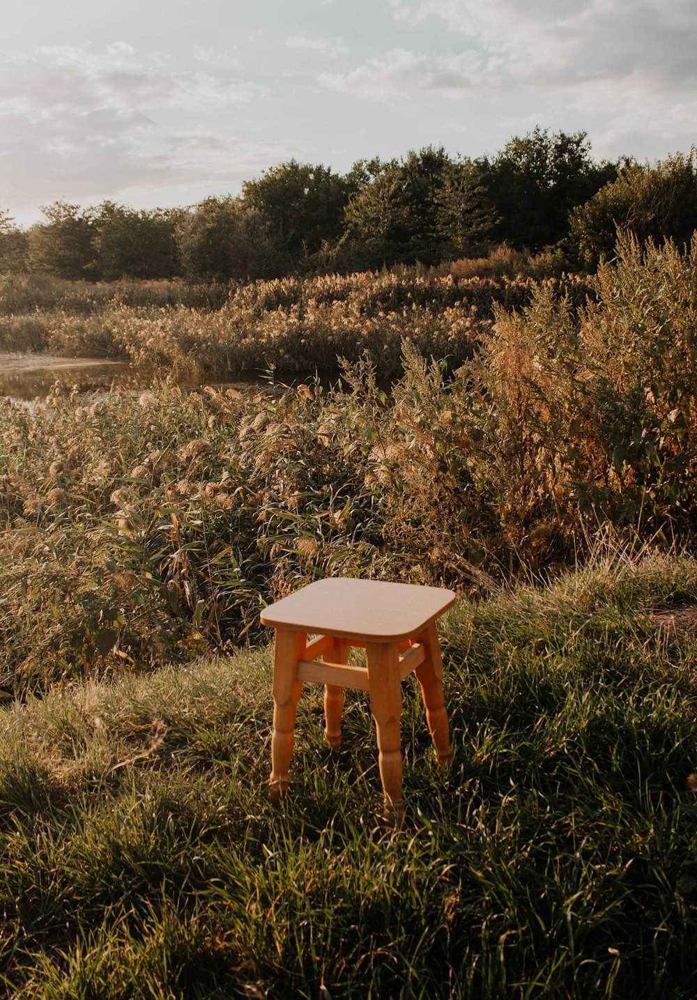un pequeño taburete de madera sentado en la parte superior de un exuberante campo verde