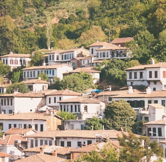a city with lots of houses on a hillside