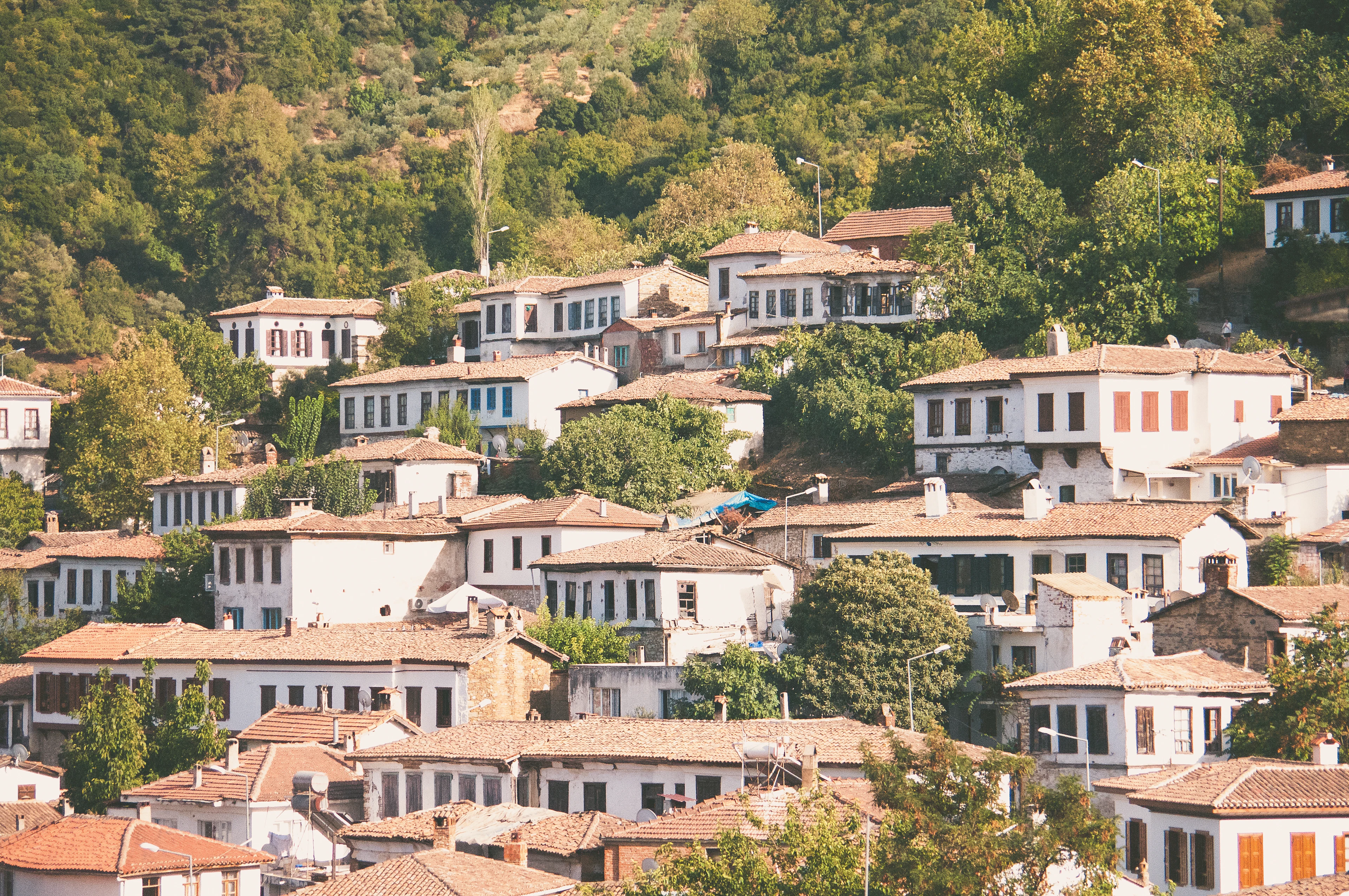 The white, red-roofed houses of Şirince on a green hillside near Ephesus