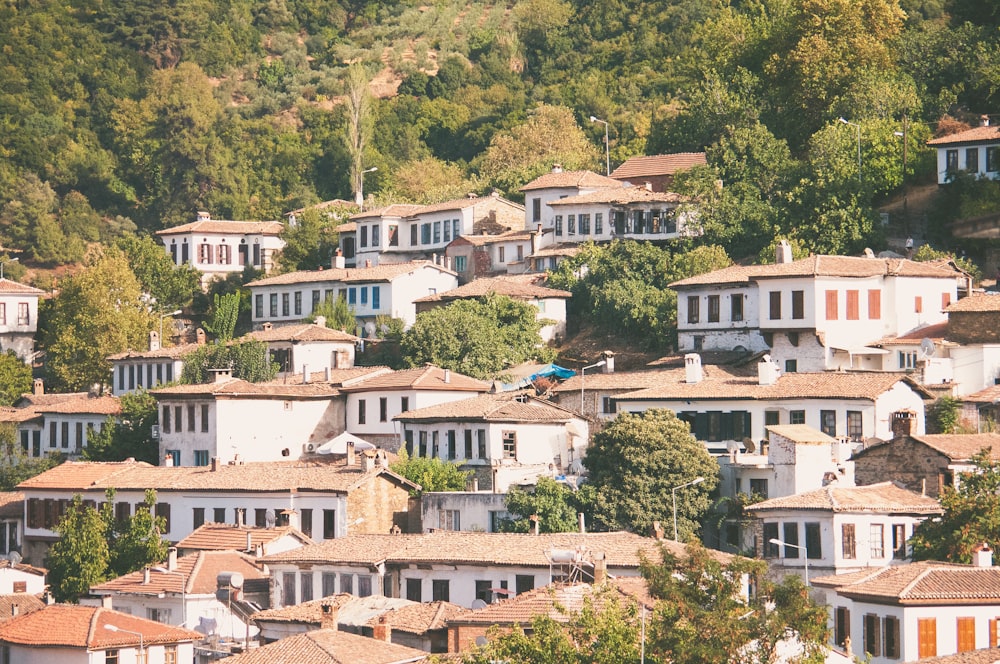 a city with lots of houses on a hillside