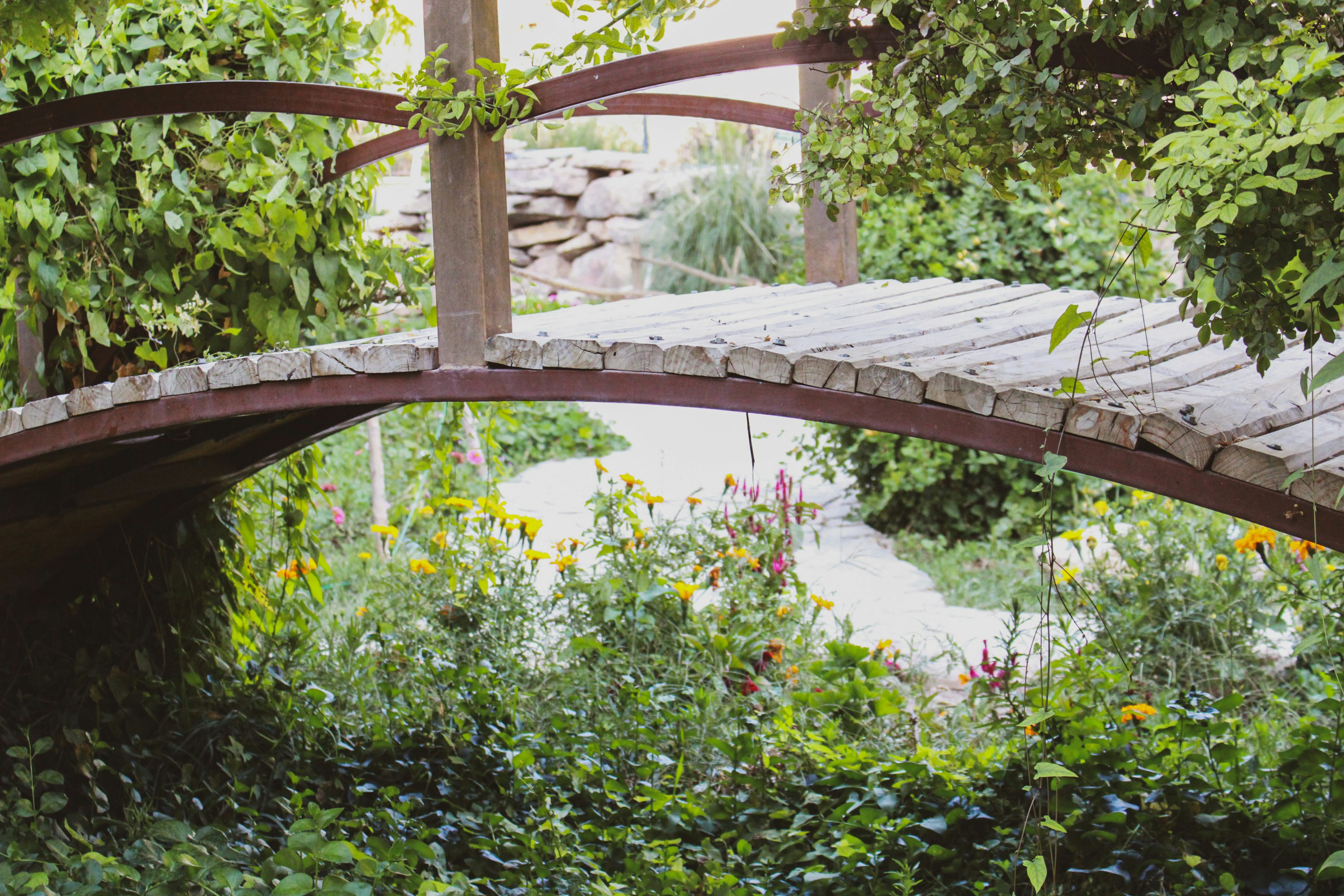 Photo by setarekosari