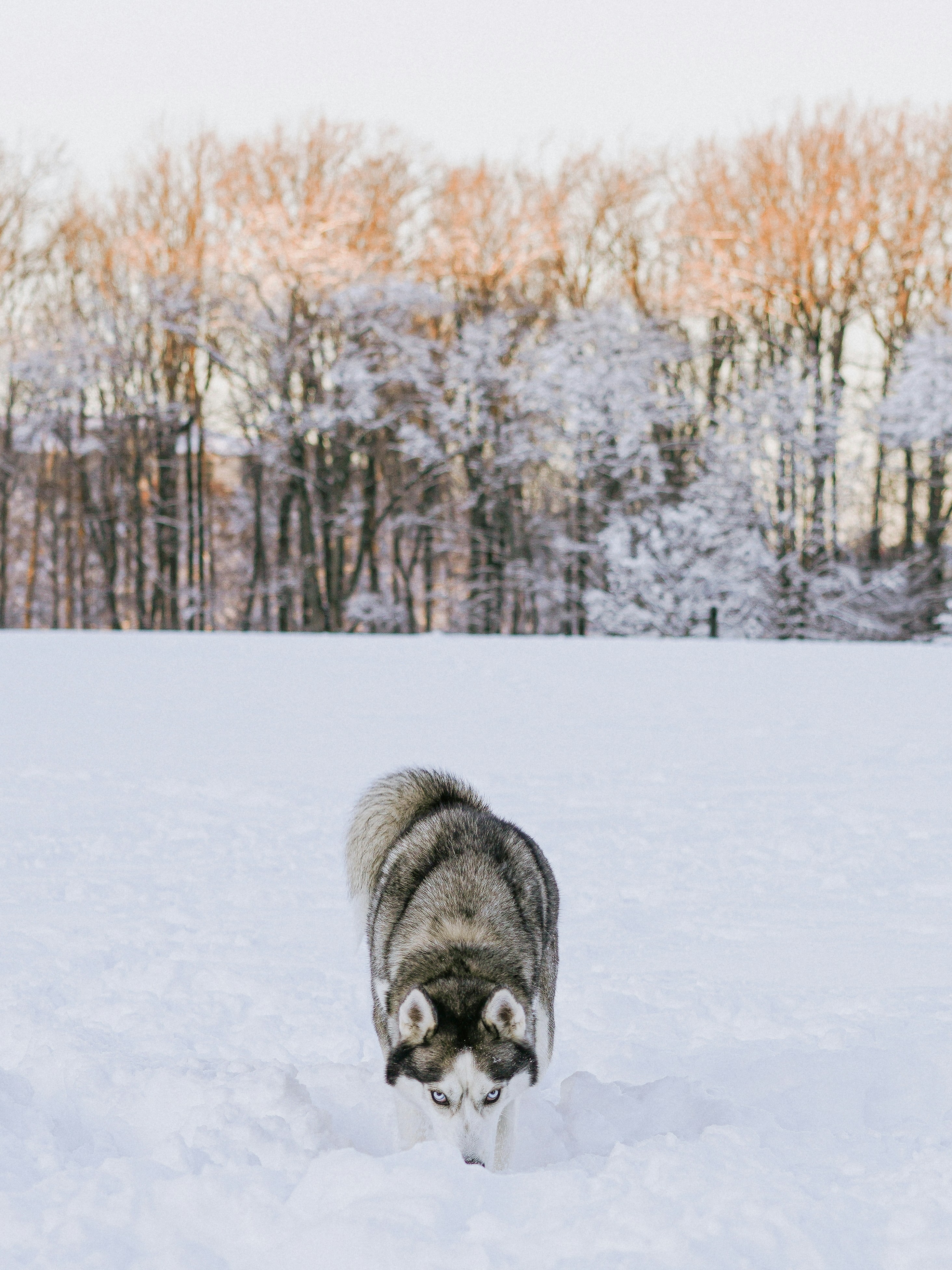 Photo by beacschiffner