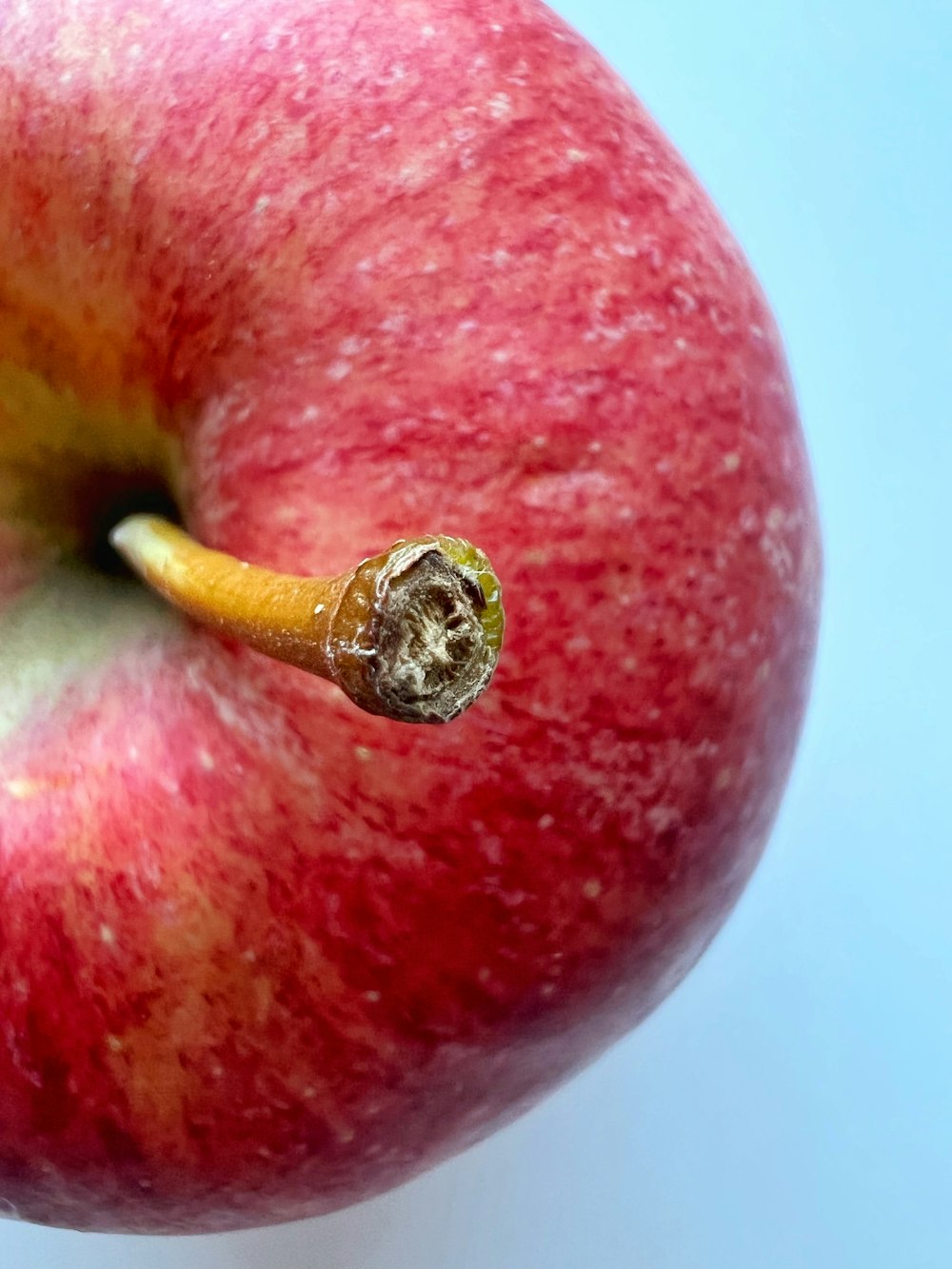 a close up of an apple with a bite taken out of it