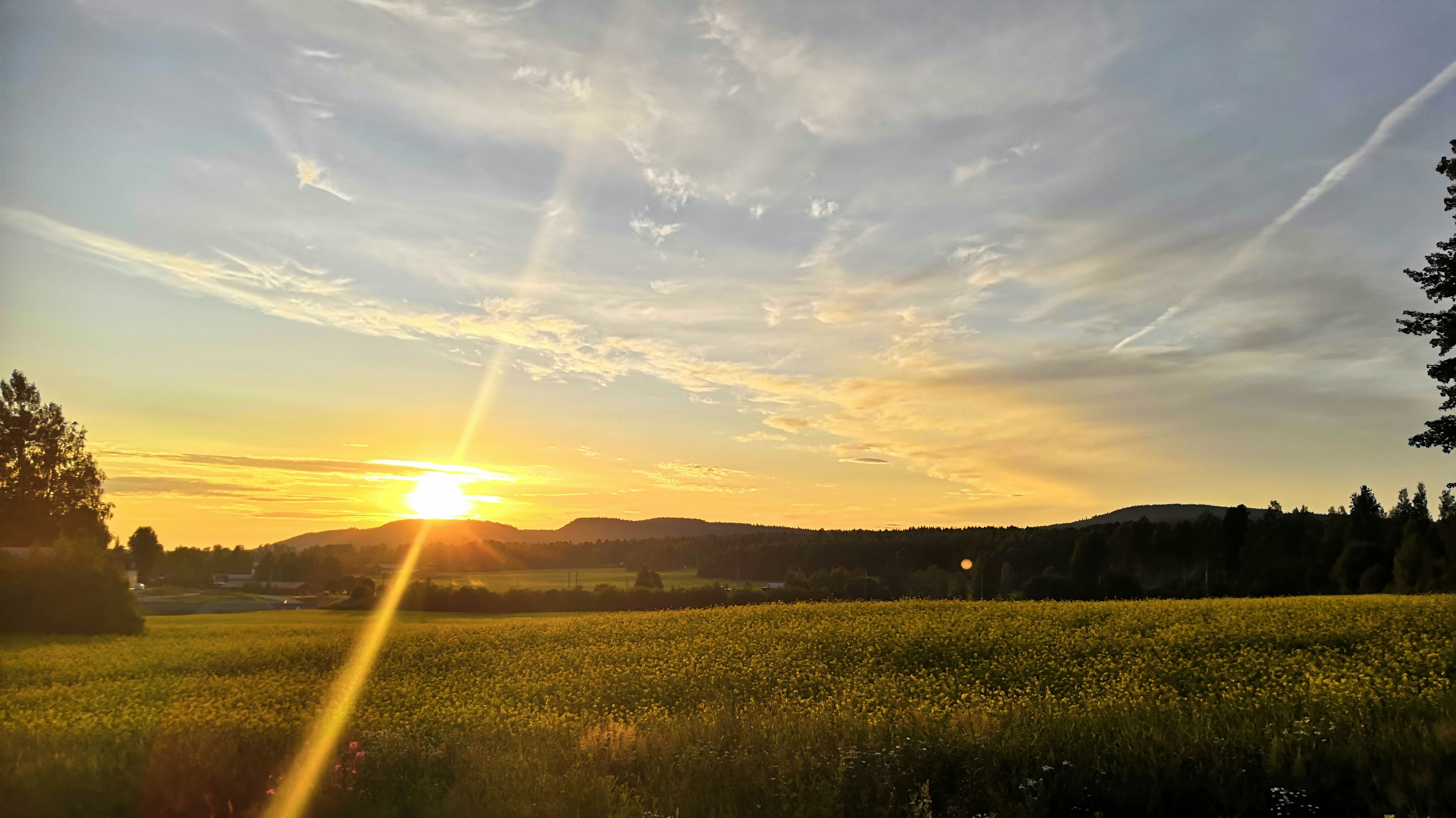 Photo by johanericsson