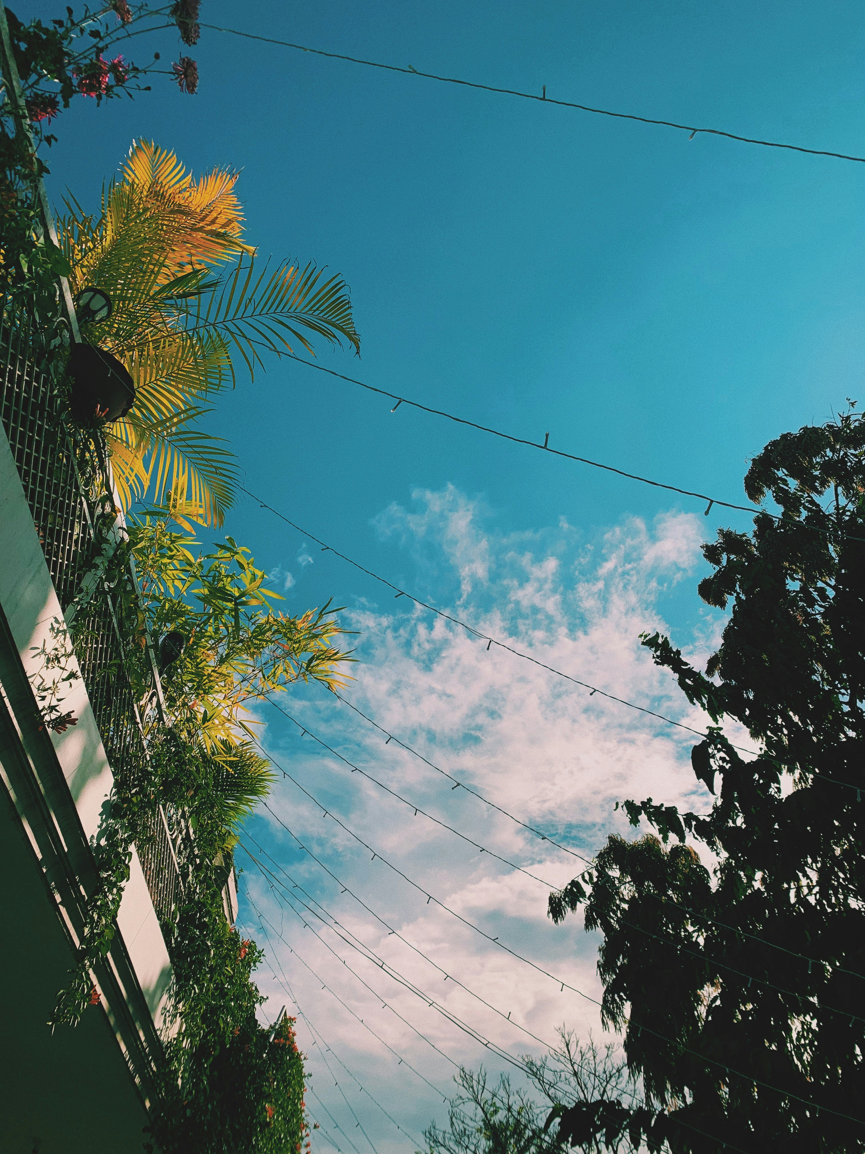 Photo by kabircheema