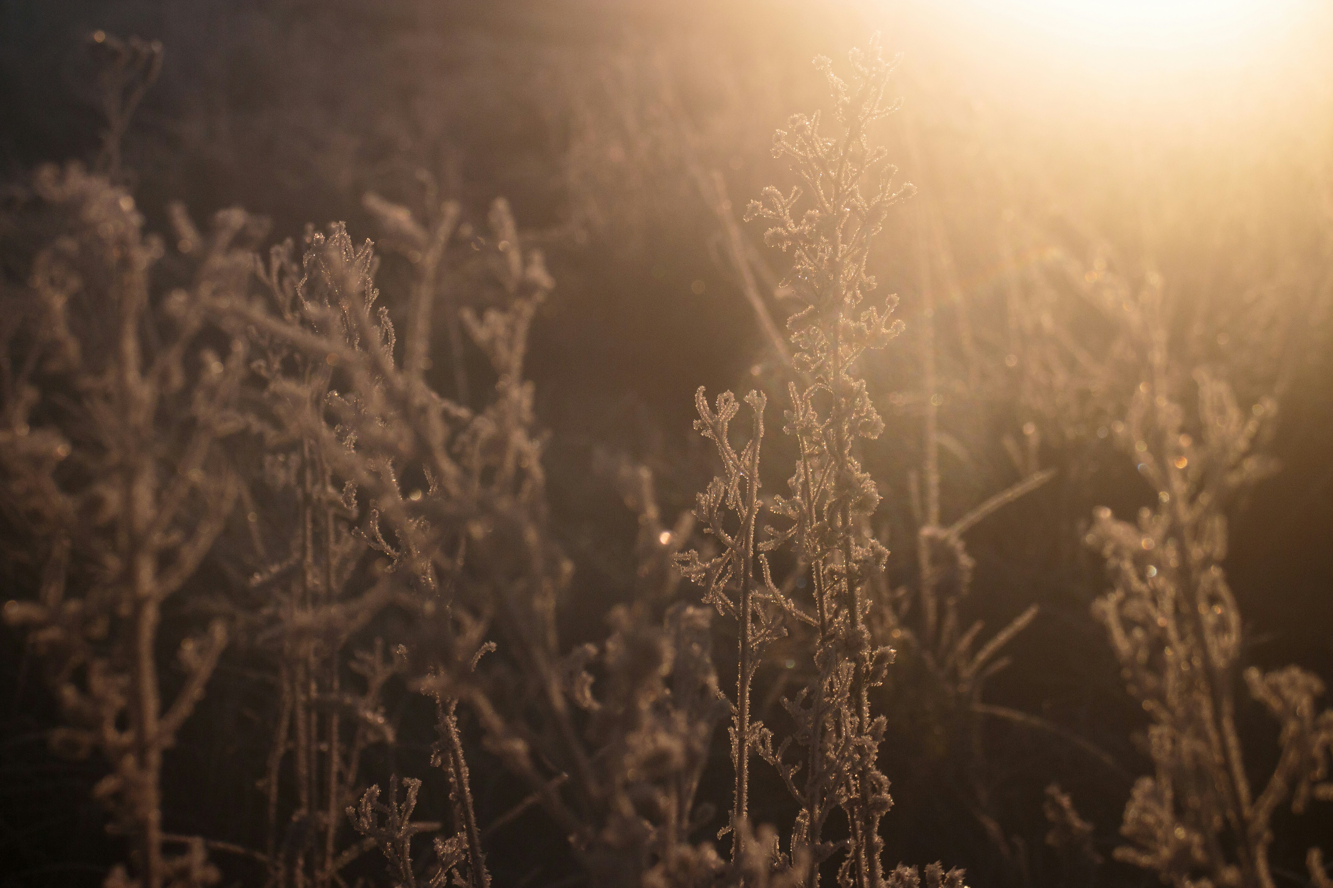 Photo by needfultosay