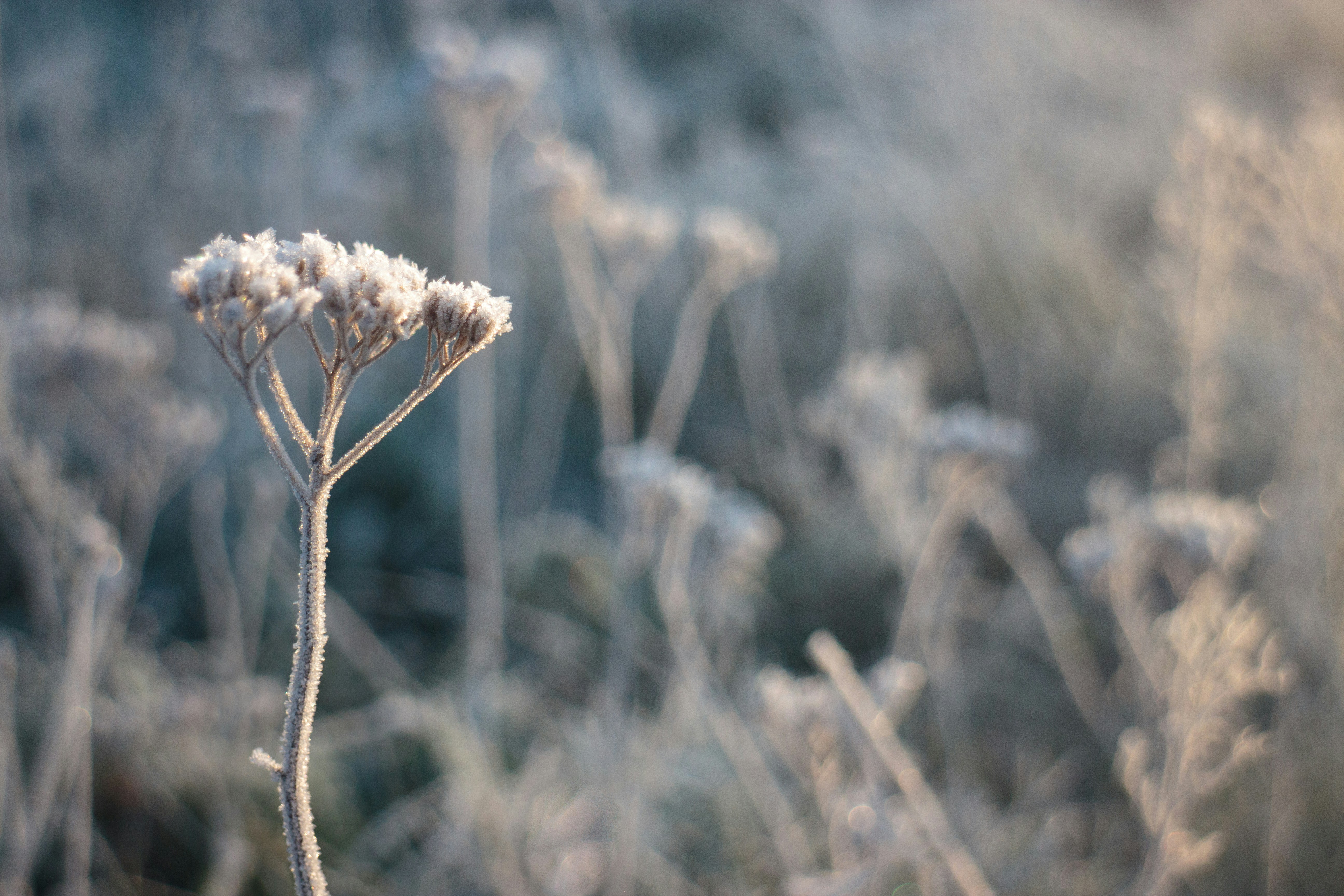 Photo by needfultosay