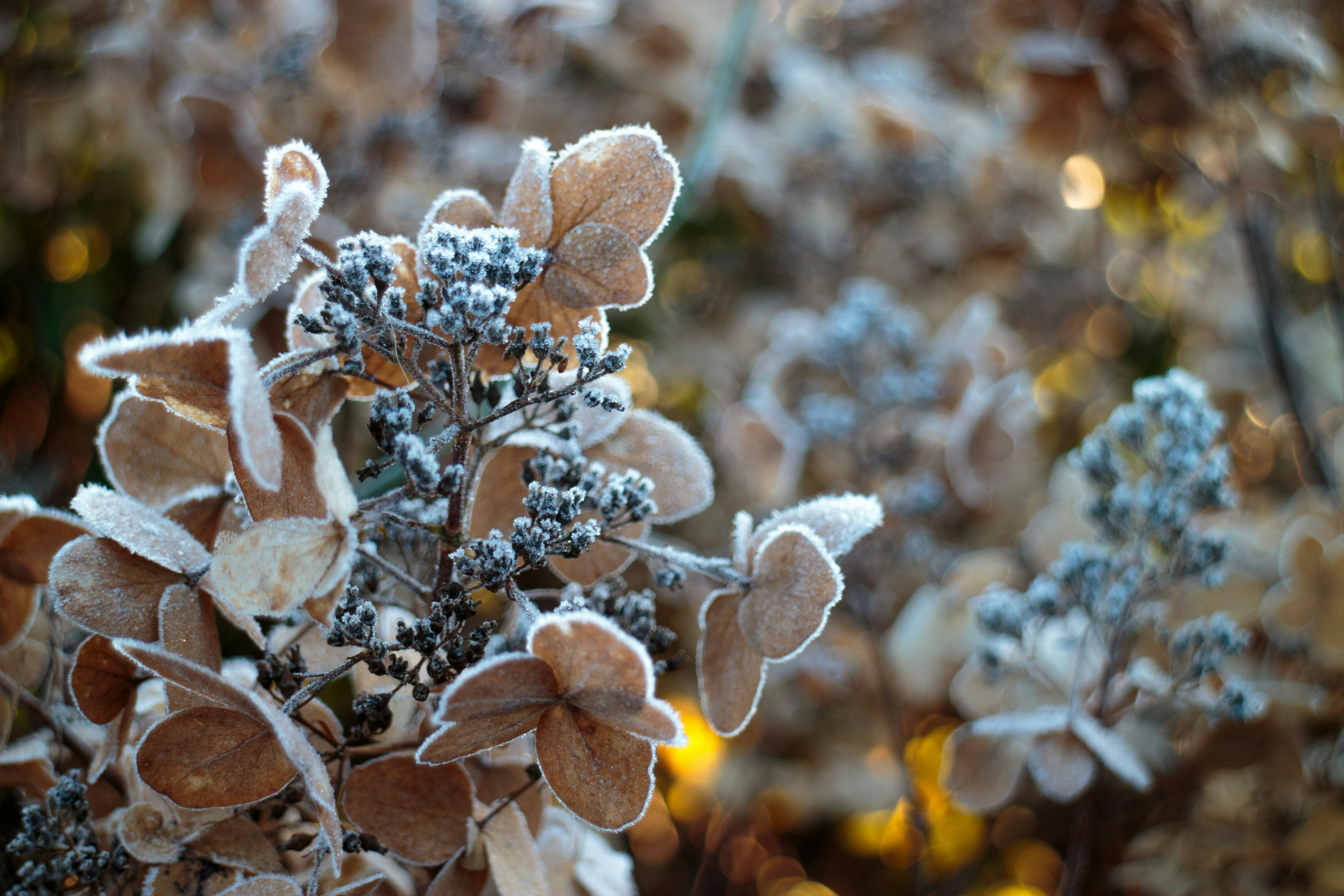 Photo by needfultosay